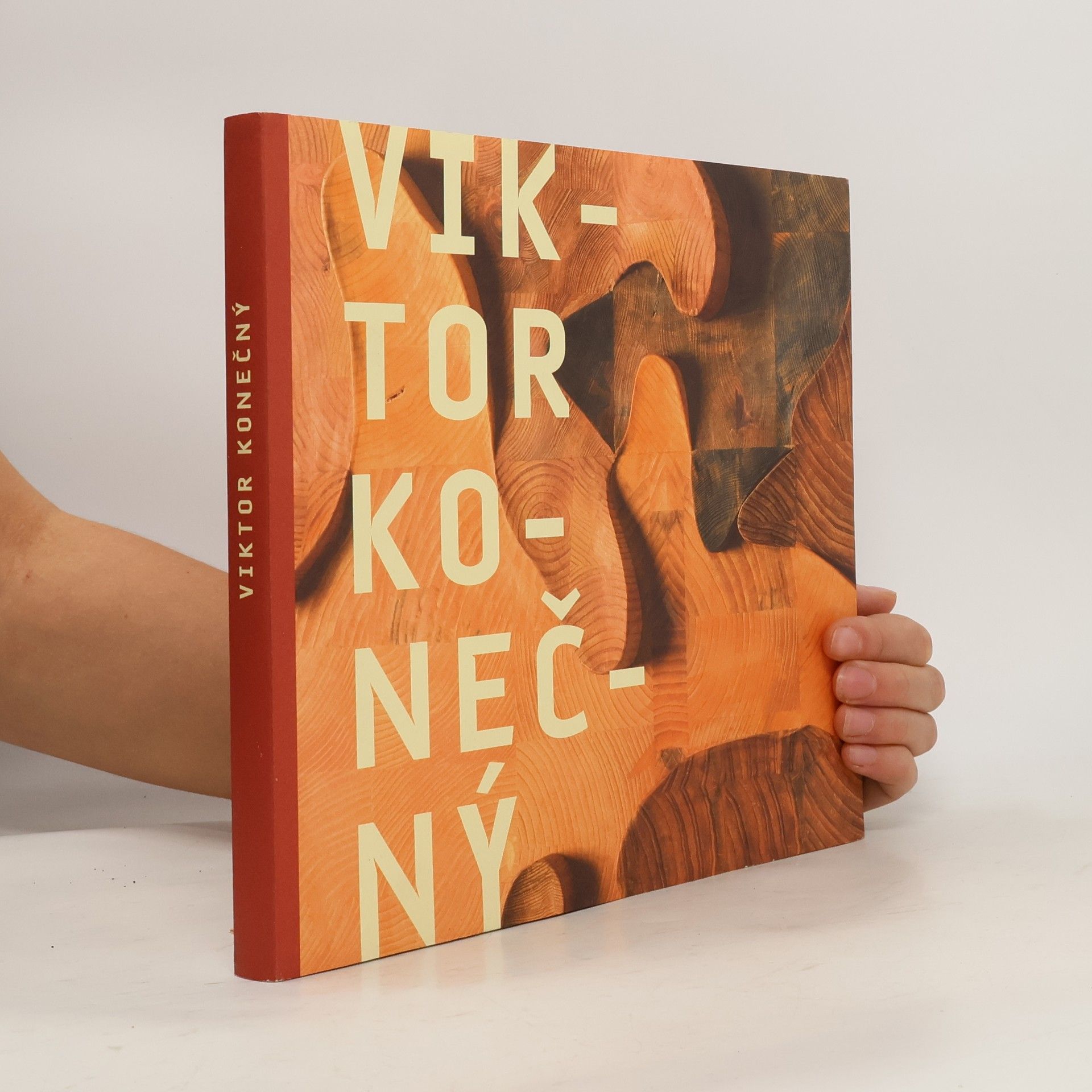 Autores varios Viktor Konečný - Dřevěné obrazy, grafiky, sochy