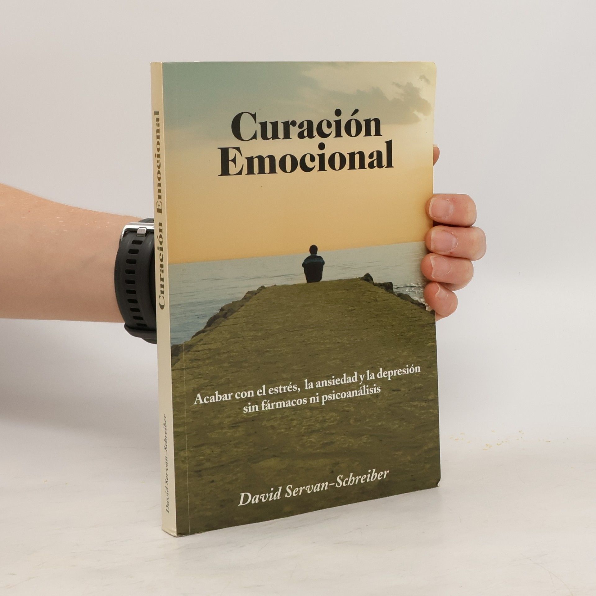David Servan Schreiber Curación emocional