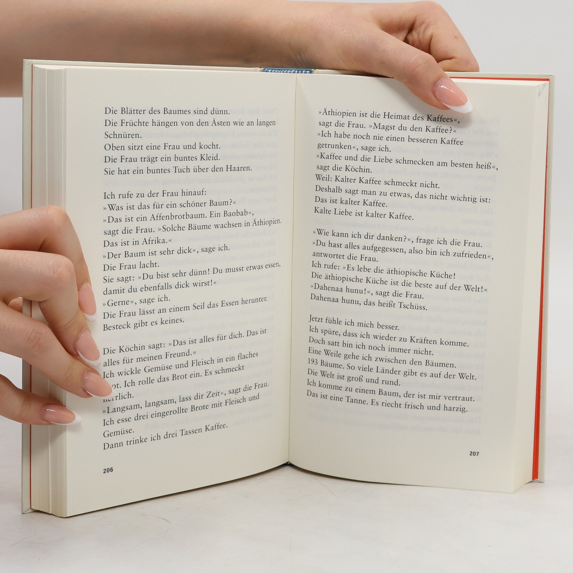 Hauke Hückstädt LiES. Das Buch. Literatur in Einfacher Sprache