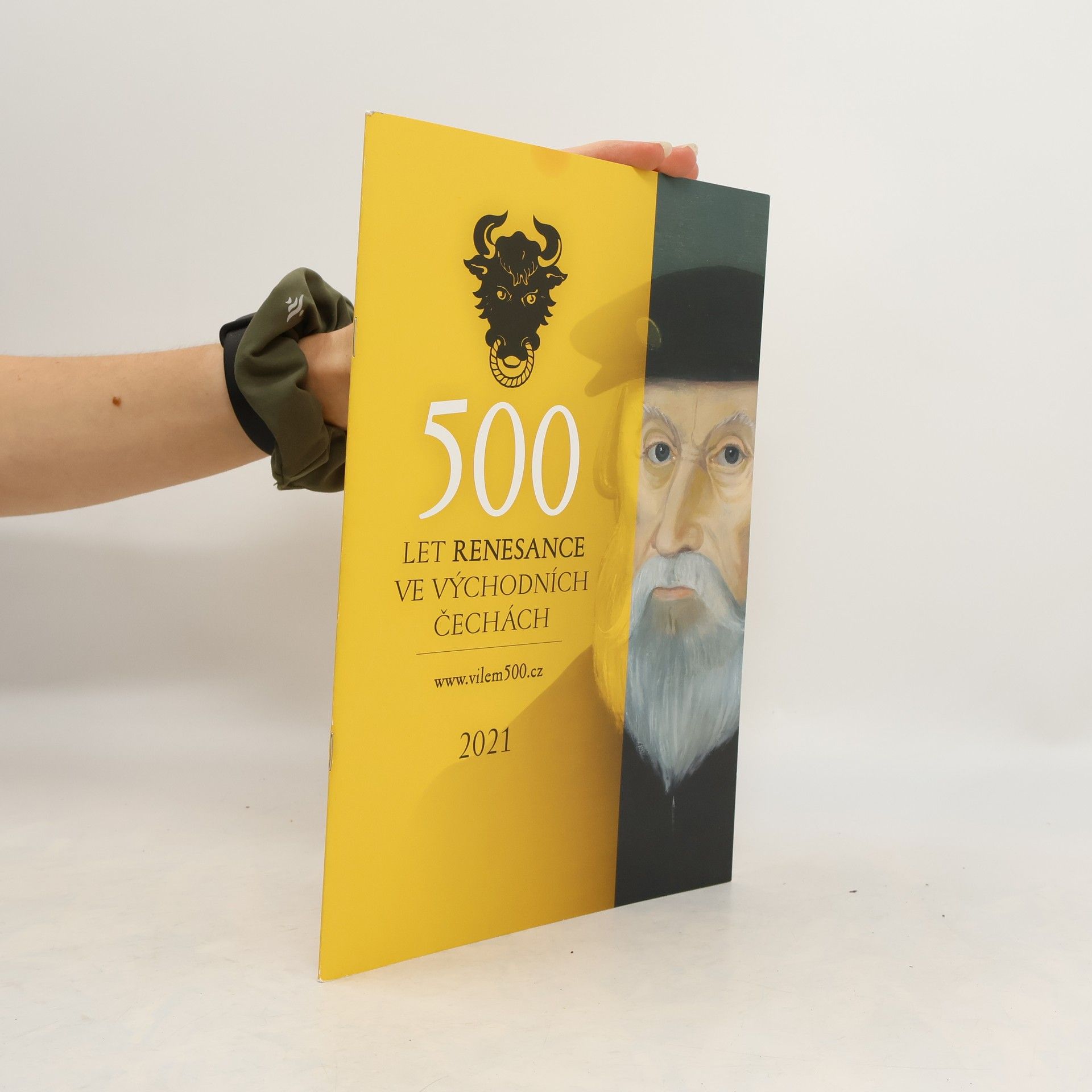 Kolektív autorov 500 let renesance ve východních Čechách