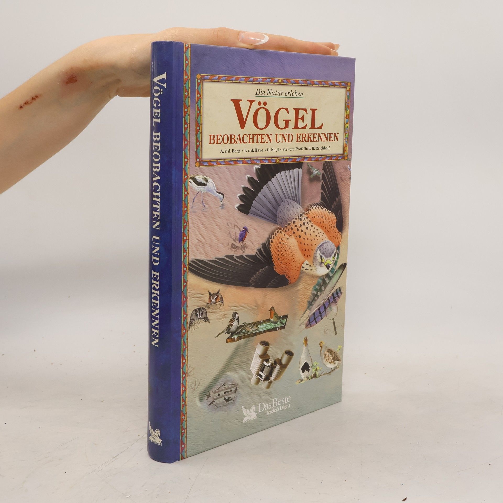 Arnoud van den Berg Vögel beobachten und erkennen