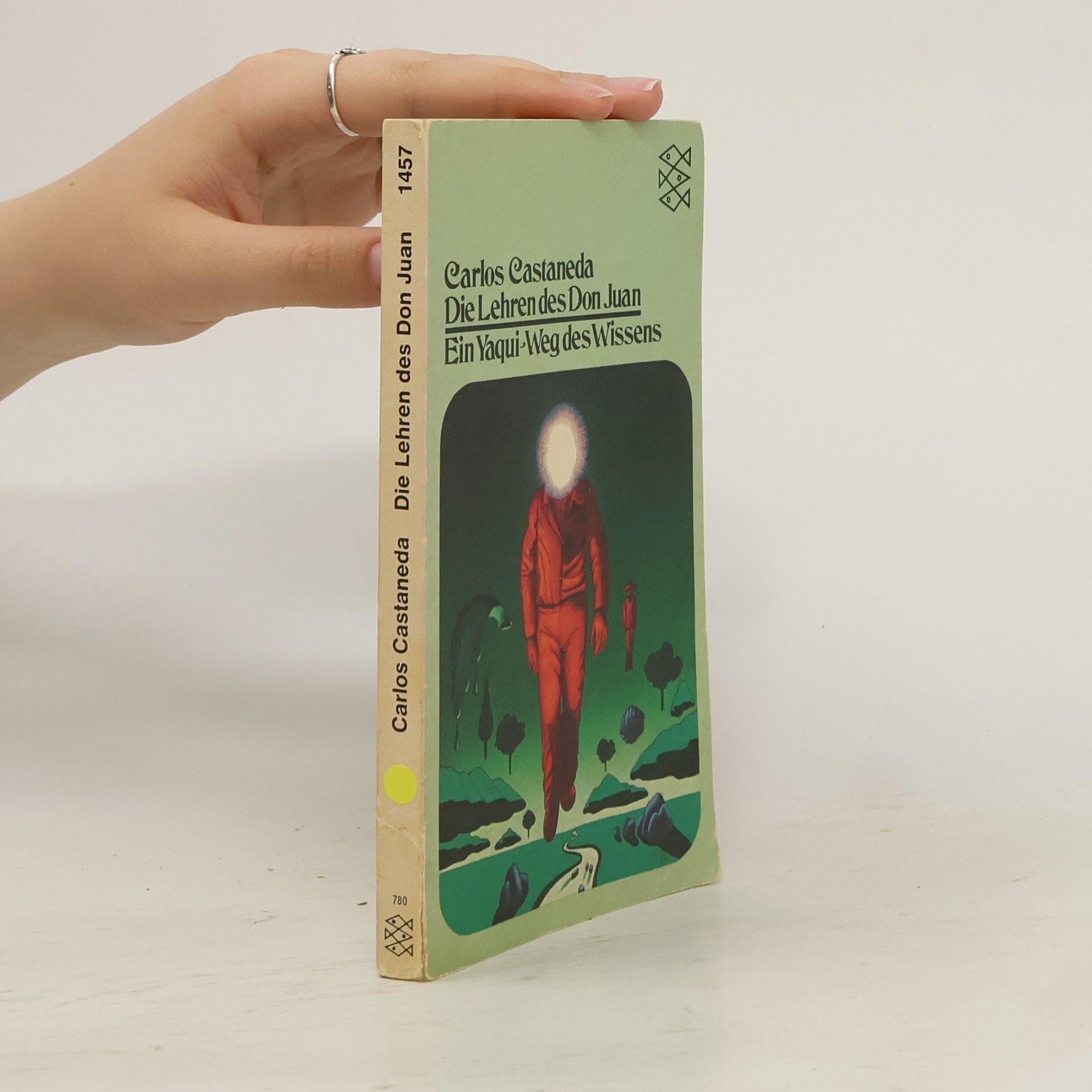 Carlos Castaneda Die Lehren des Don Juan
