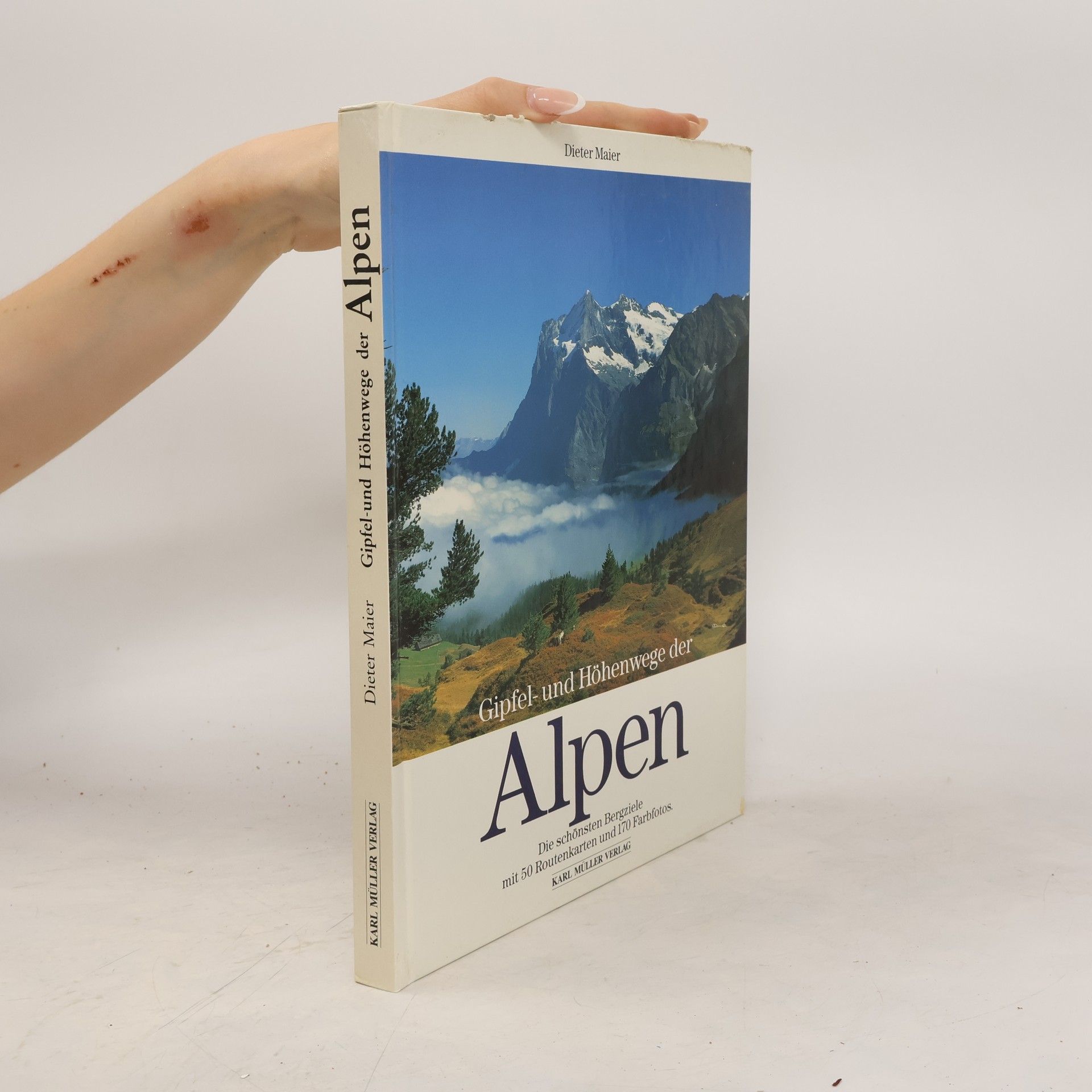Dieter Maier Gipfel und Höhenwege der Alpen