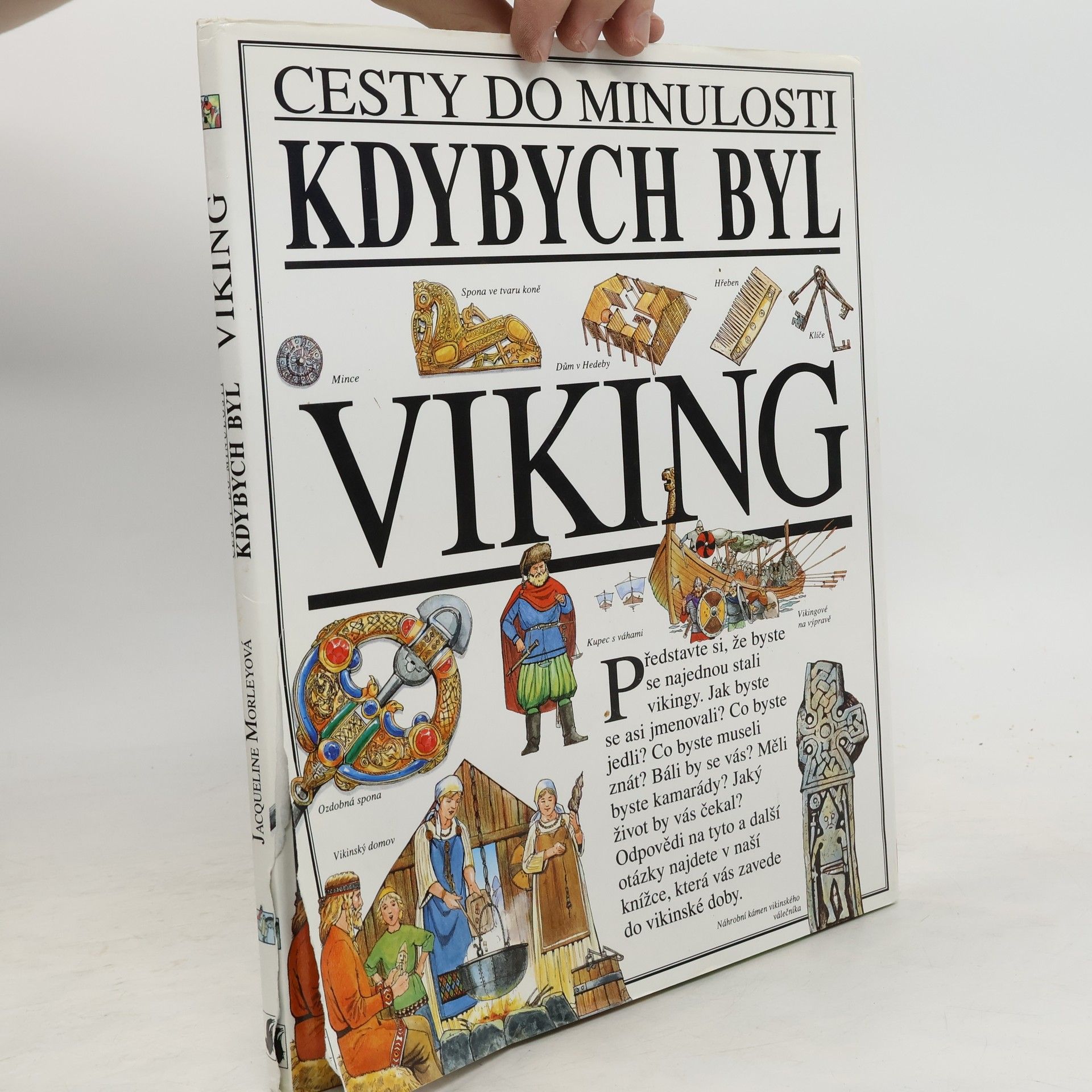 Jacqueline Morley Kdybych byl Viking