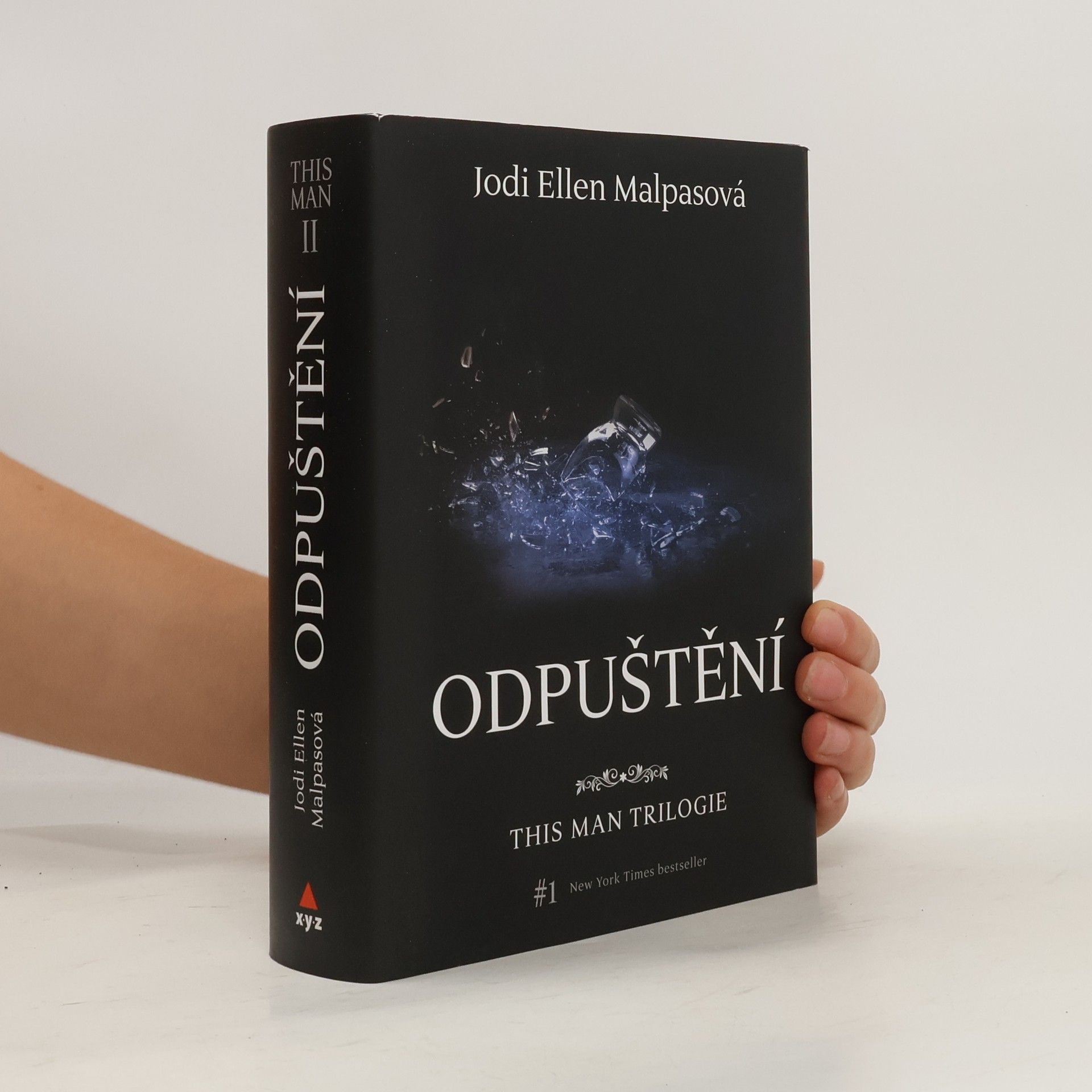 Jodi Ellen Malpas This man trilogie : Odpuštění