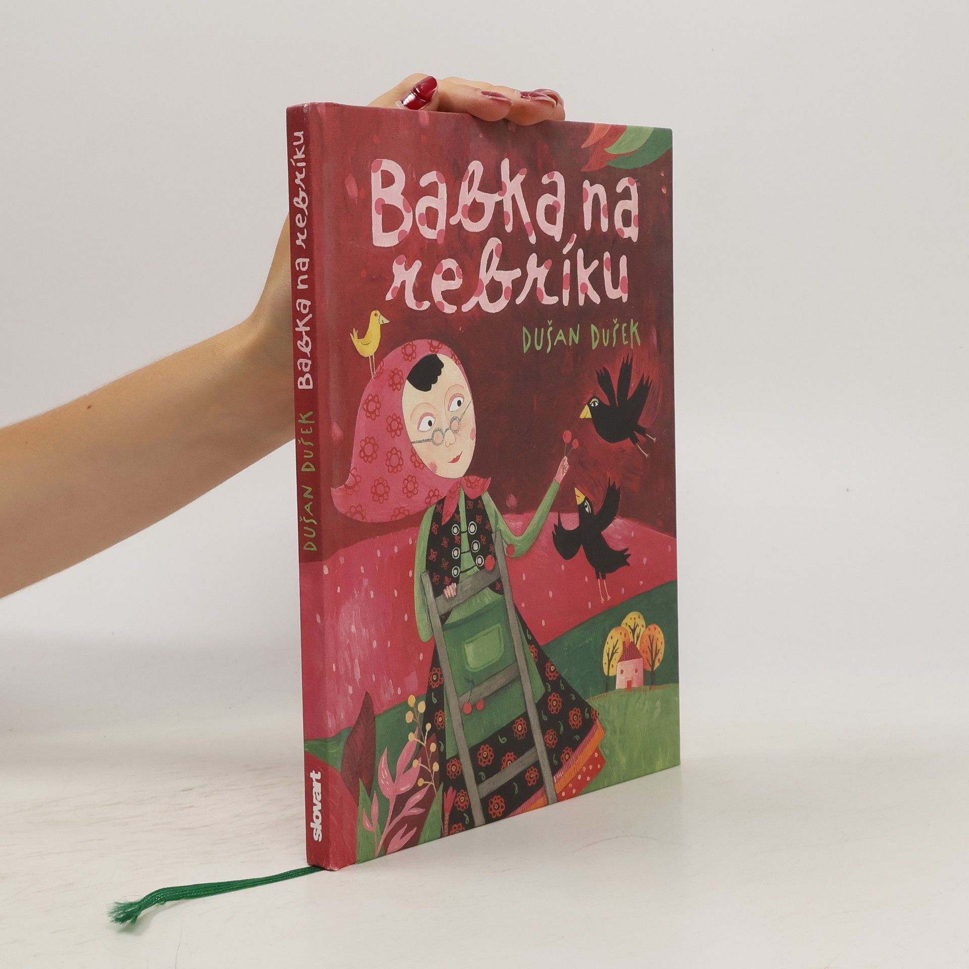 Dušan Dušek Babka na rebríku