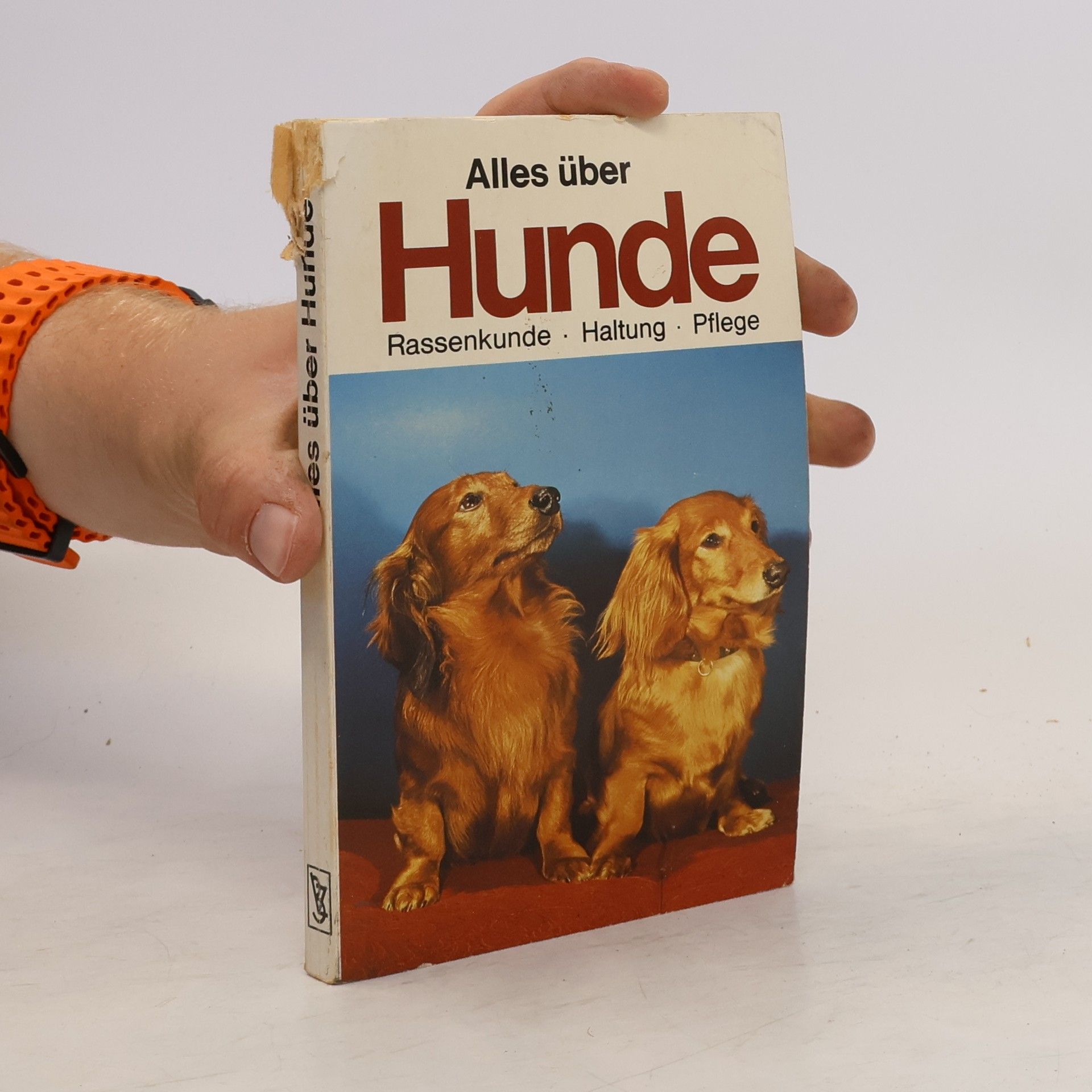 kolektiv Alles über Hunde