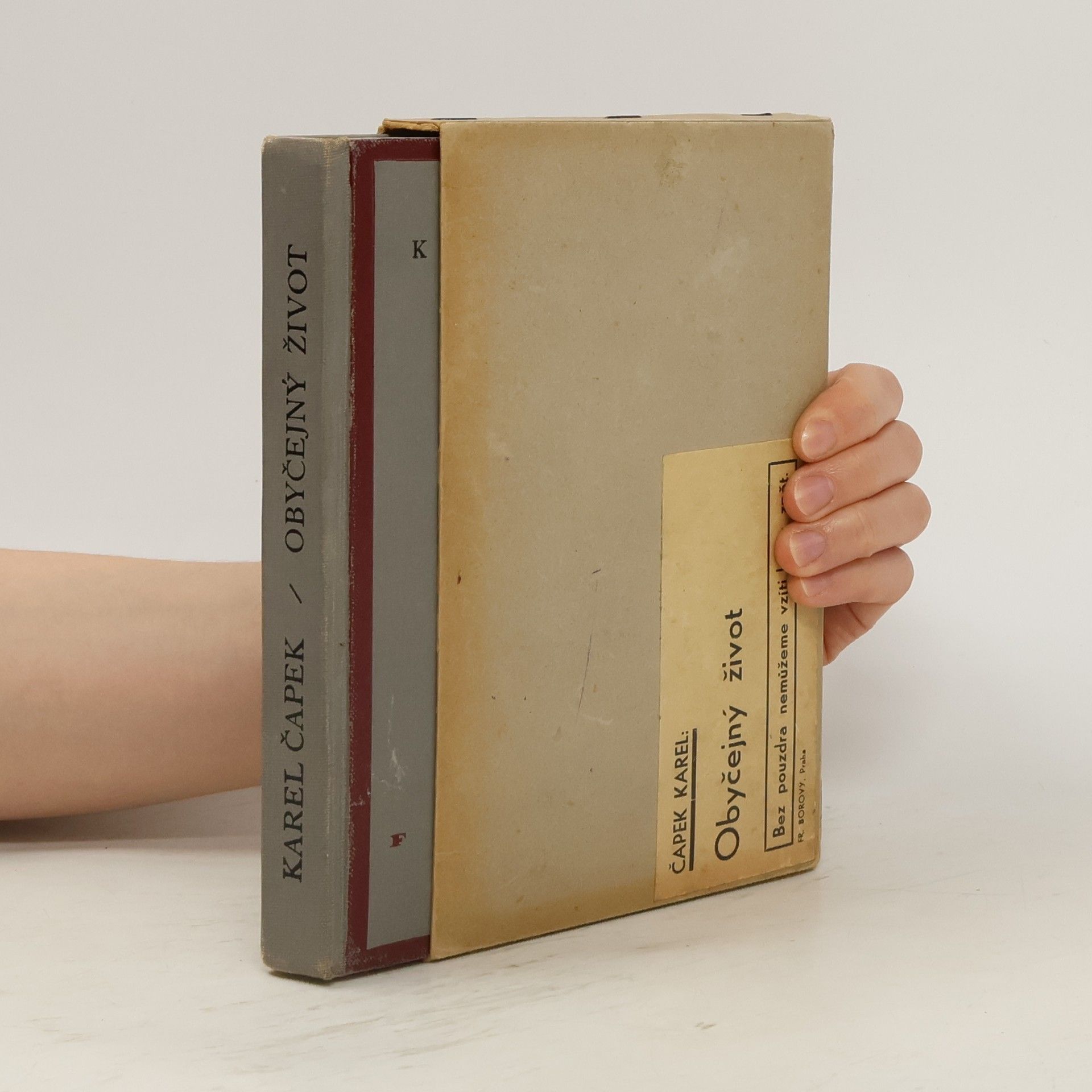 Karel Čapek Spisy bratří Čapků. Obyčejný život