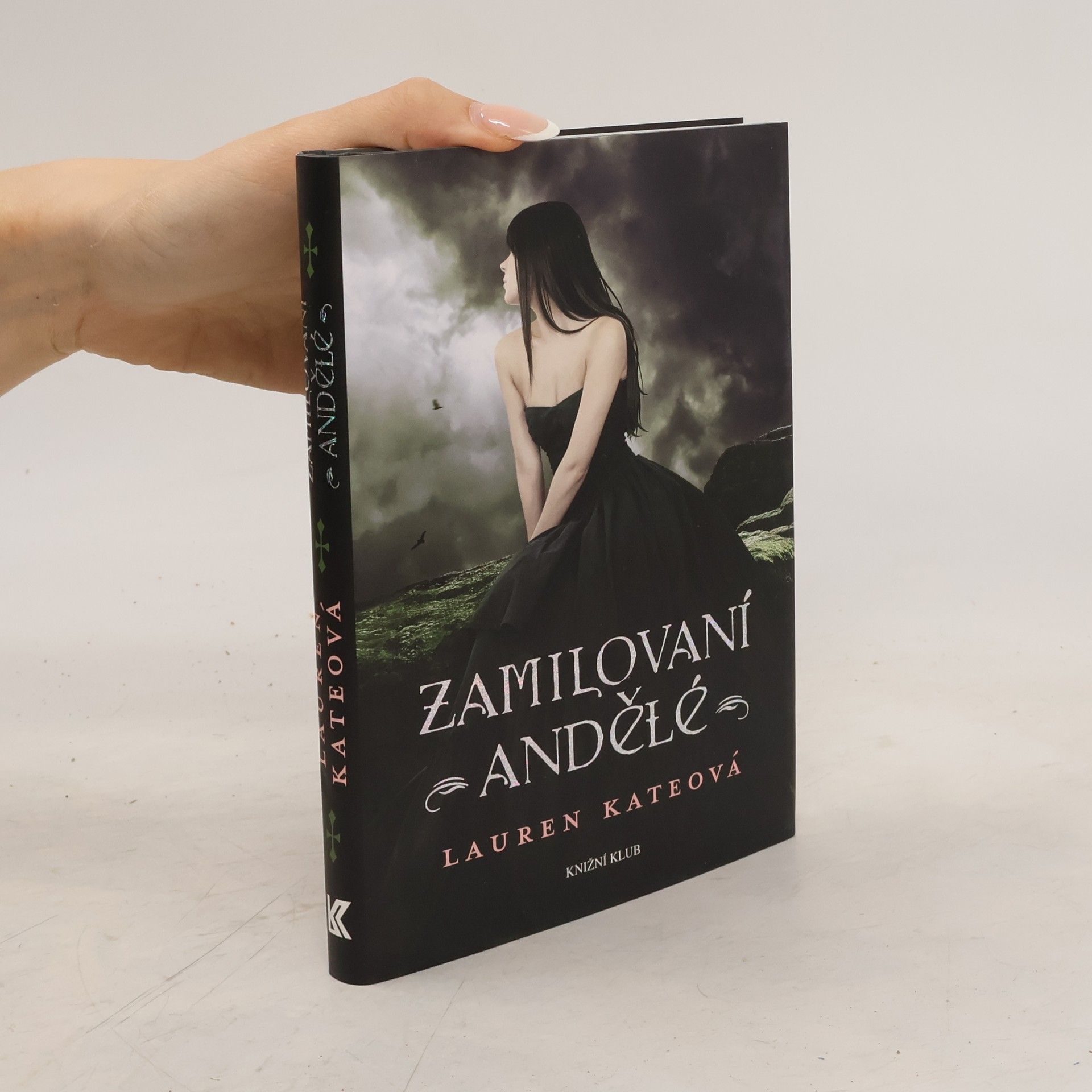 Lauren Kate Zamilovaní andělé