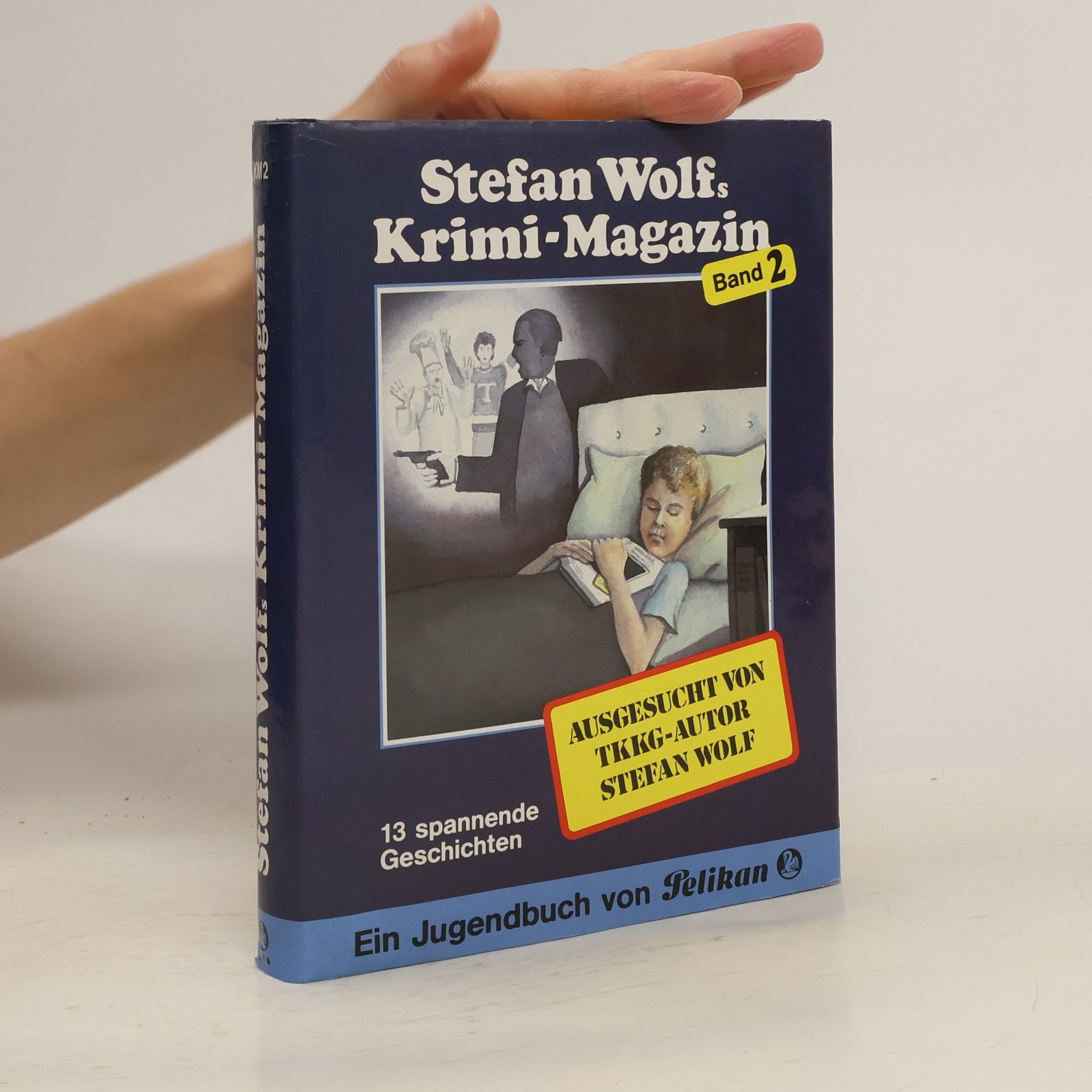 Stefan Wolf Stefan Wolfs Krimimagazin. Bd.2. 13 spannende Geschichten und viele Rätsel