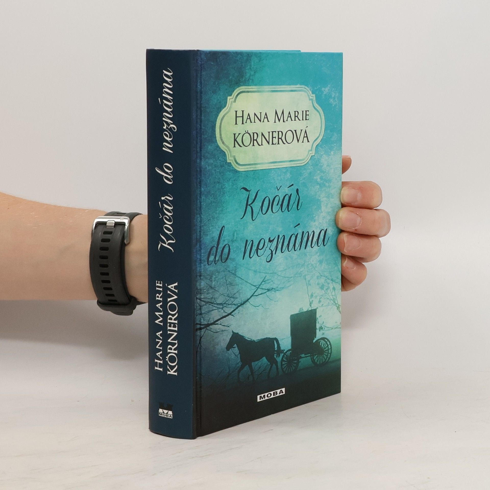 Hana Marie Körnerová Kočár do neznáma