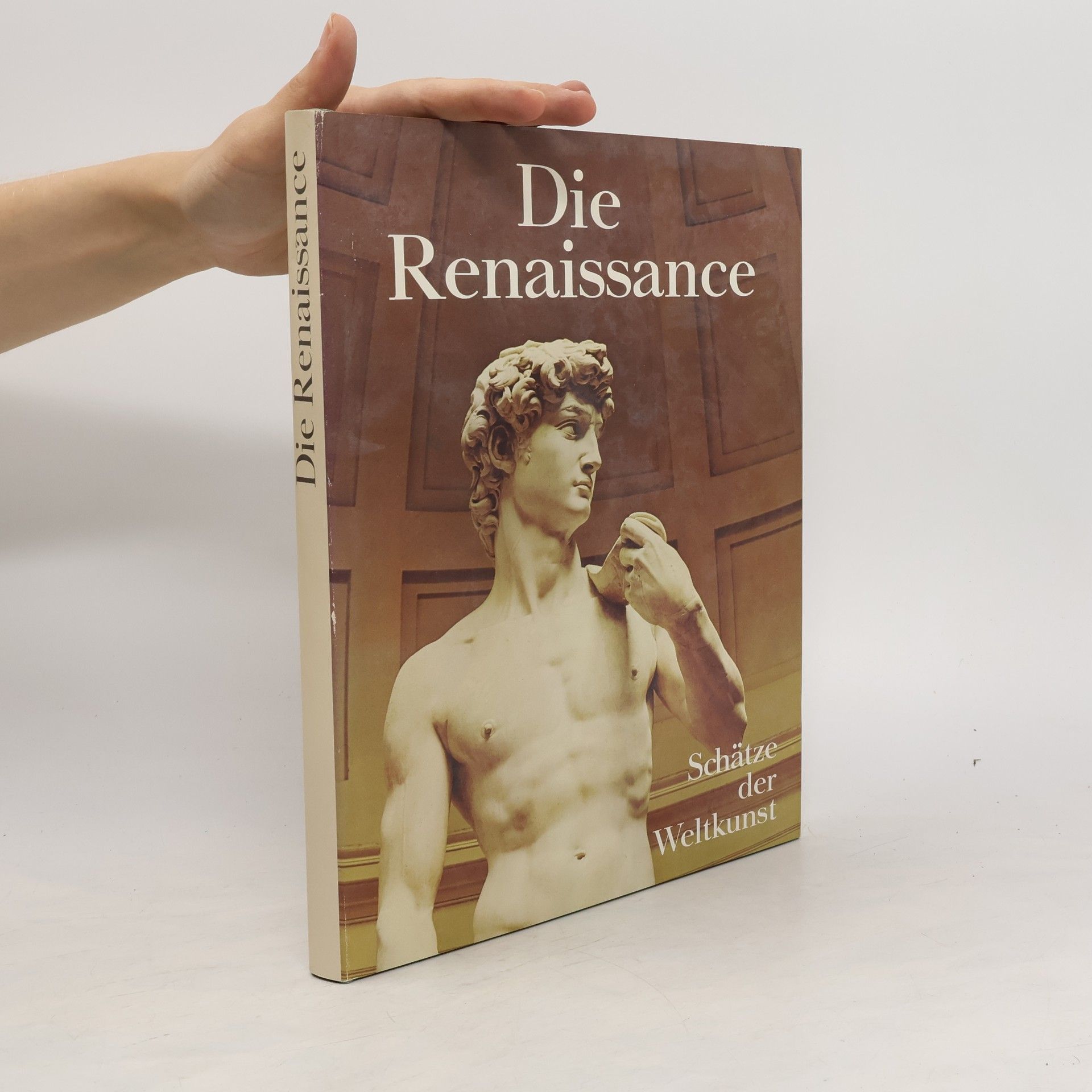 Trewin Copplestone Schätze der Weltkunst. Die Renaissance