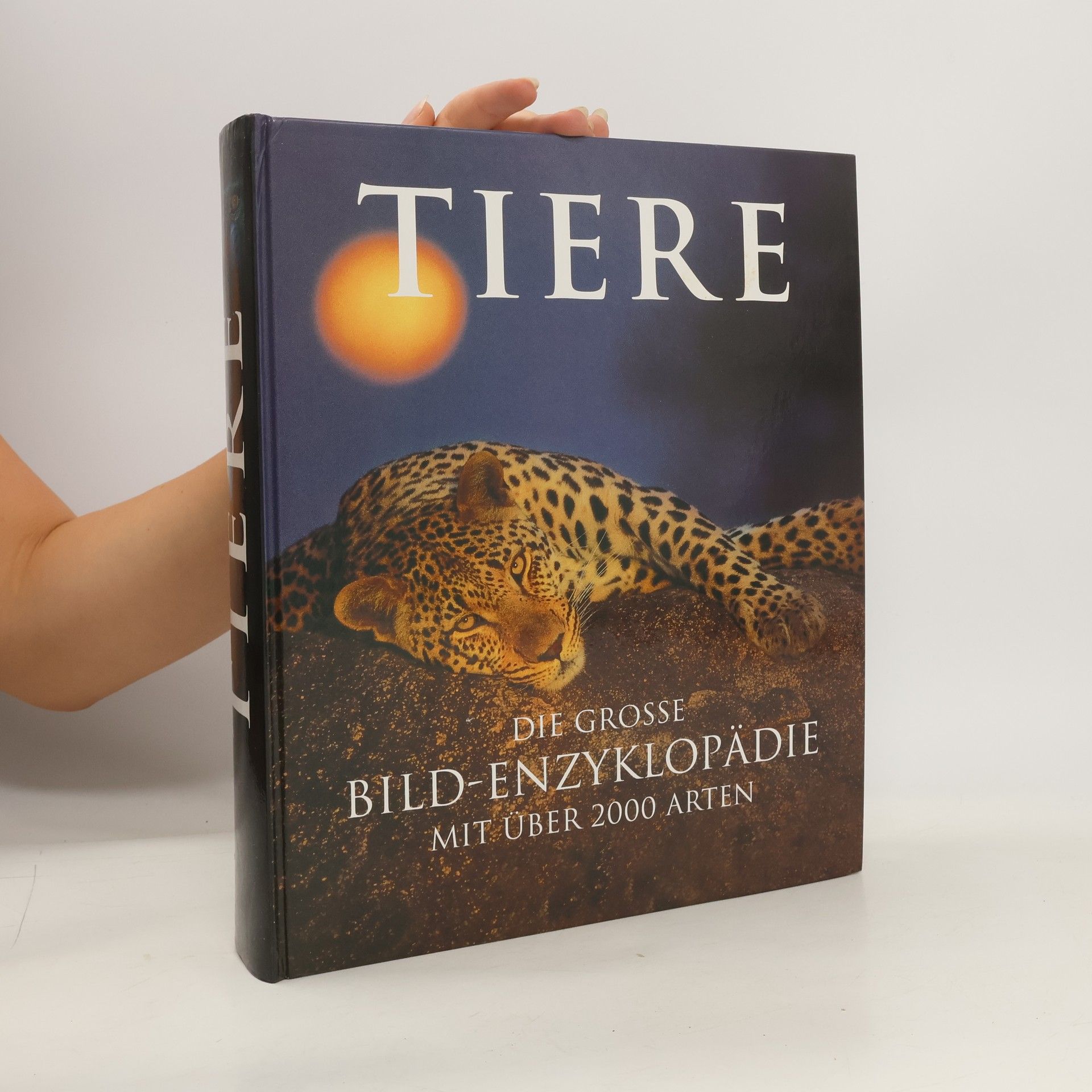 Collective Tiere