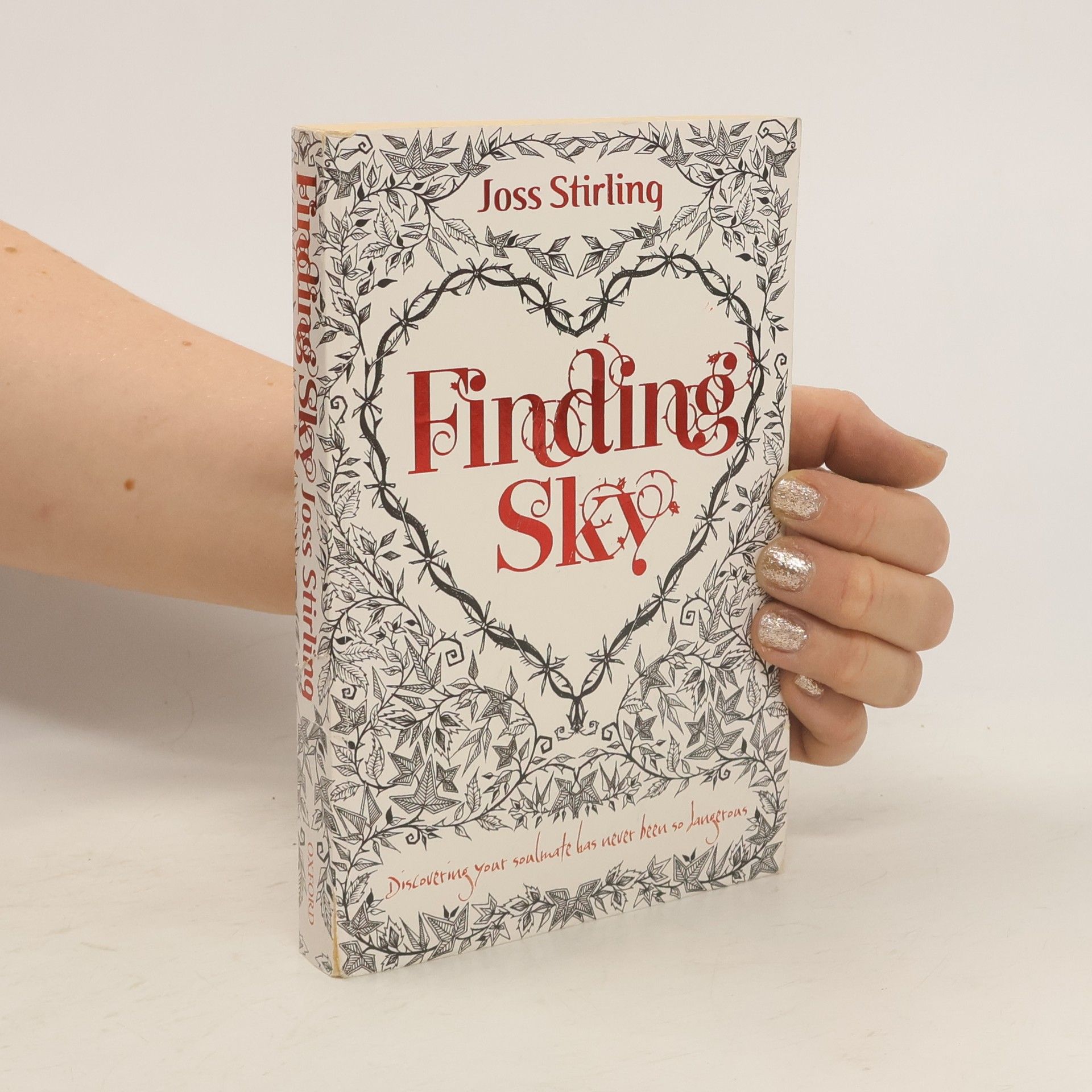 Julia Golding Finding Sky