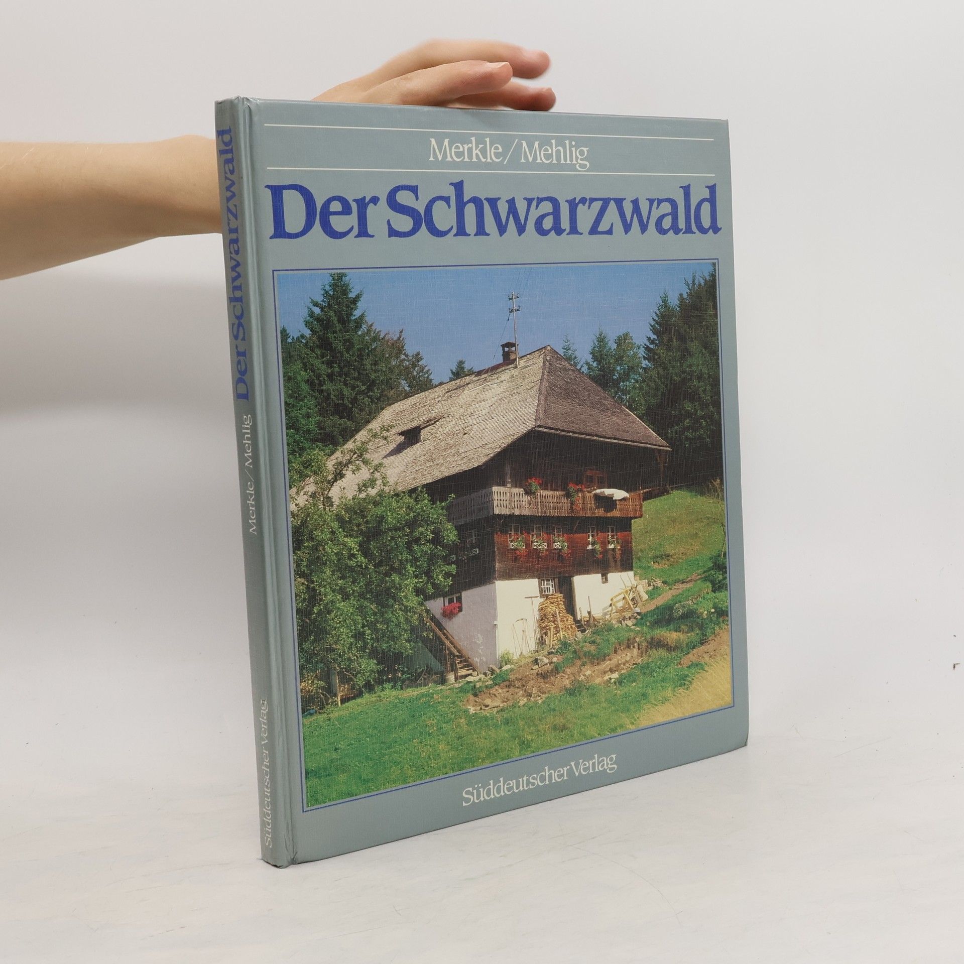 Ludwig Merkle Der Schwarzwald