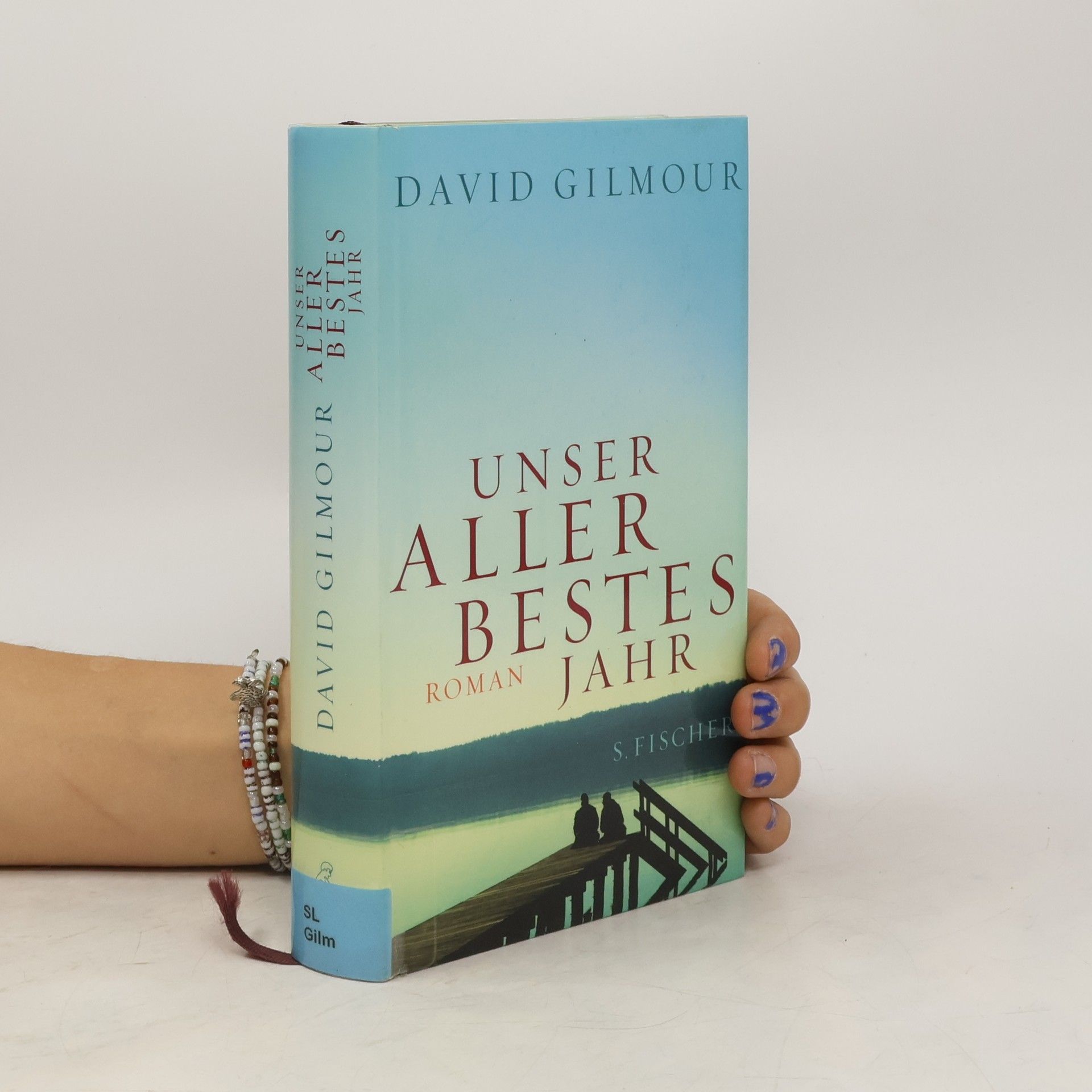 David Gilmour Unser allerbestes Jahr