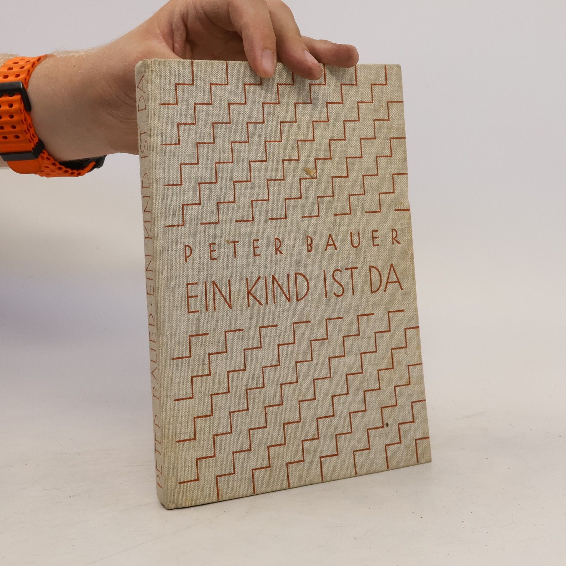 Peter Bauer Ein Kind ist da: Die frühe Kindheit im Bilde deutscher Lyrik