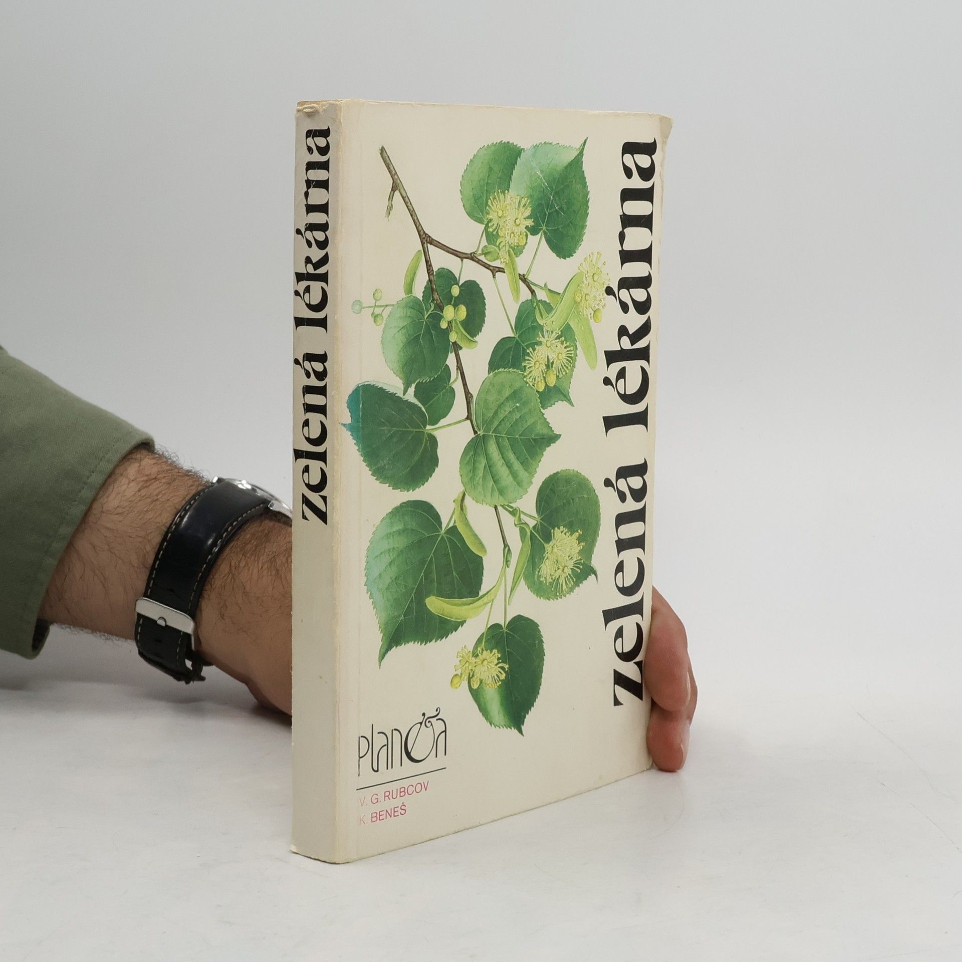 V. G. Rubcov Zelená lékárna
