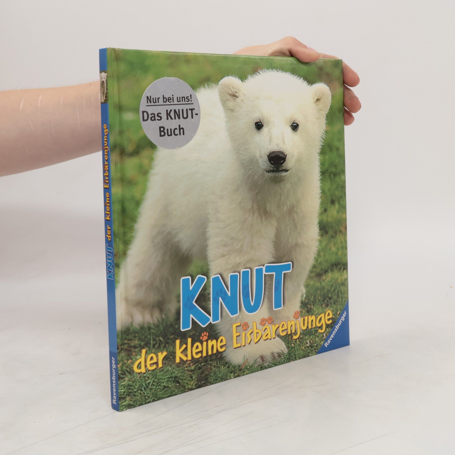Juliana Hatkoff Knut: der kleine Eisbärenjunge