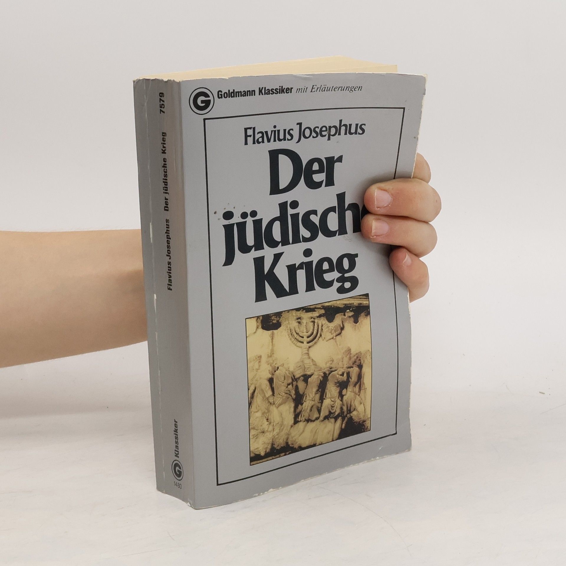 Josephus Flavius Der jüdische Krieg