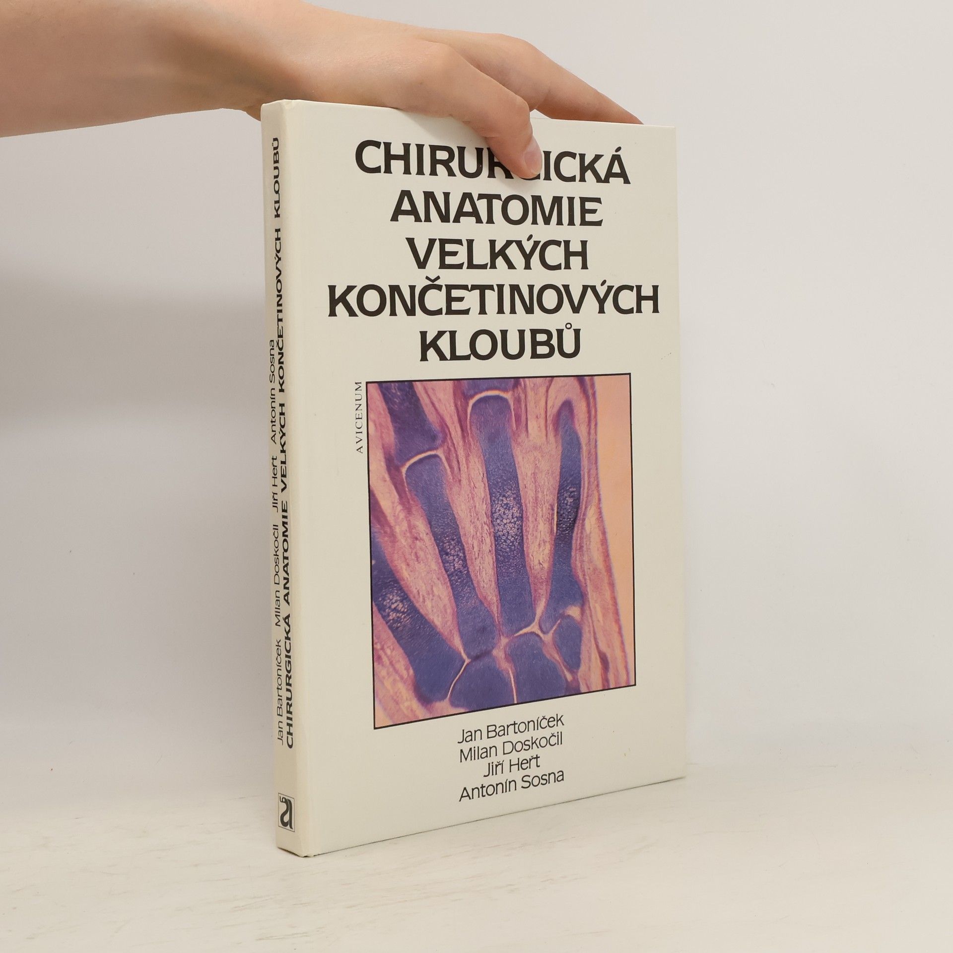 Jan Bartoníček Chirurgická anatomie velkých končetinových kloubů
