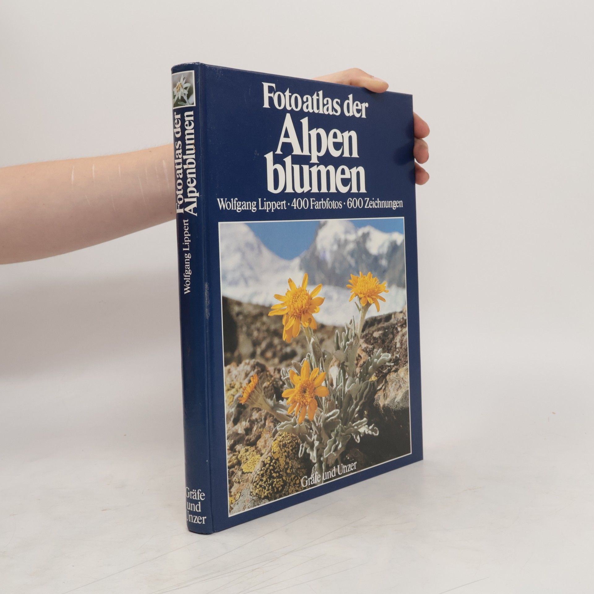 Wolfgang Lippert Fotoatlas der Alpenblumen