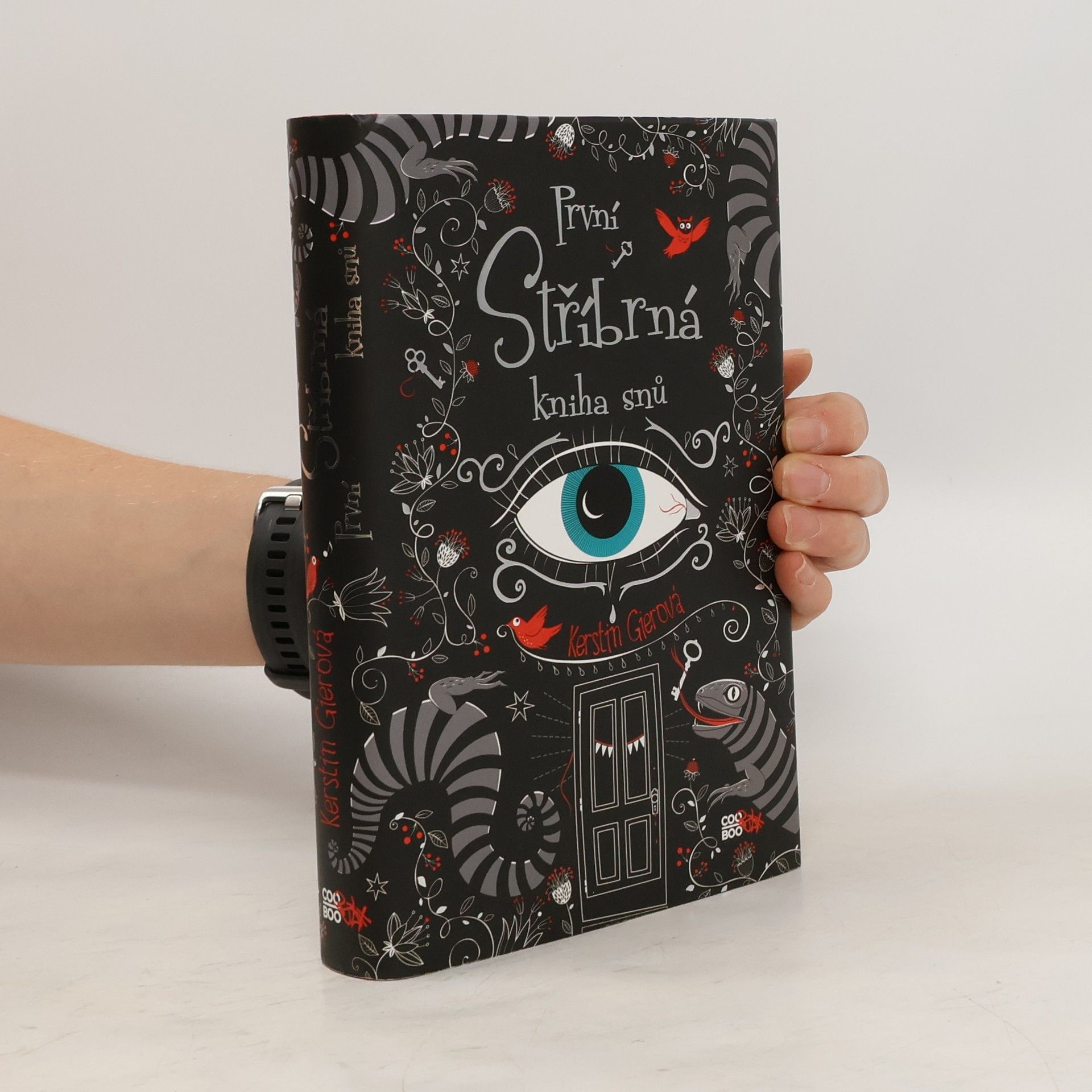 Kerstin Gier První stříbrná kniha snů