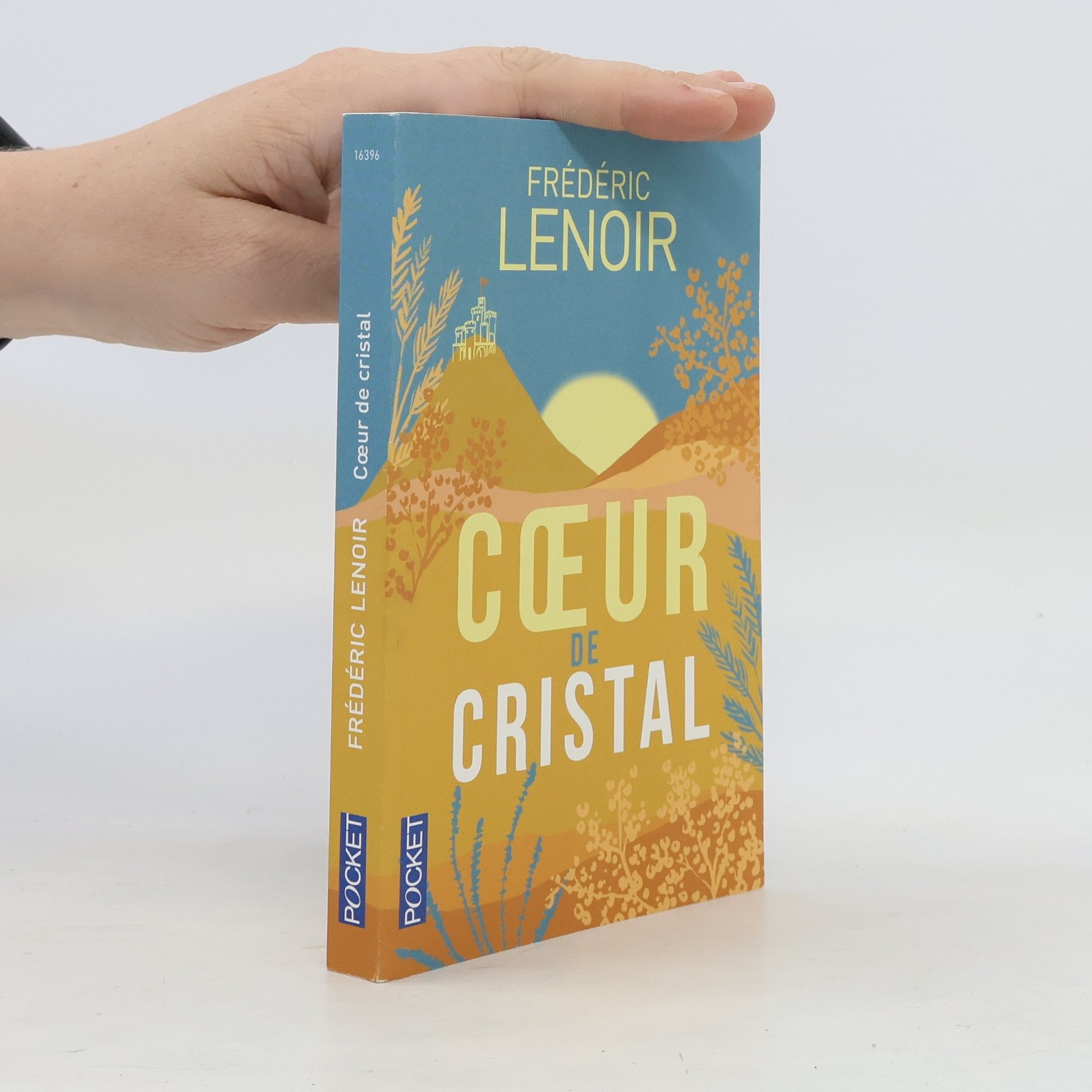 Frédéric Lenoir Coeur de cristal