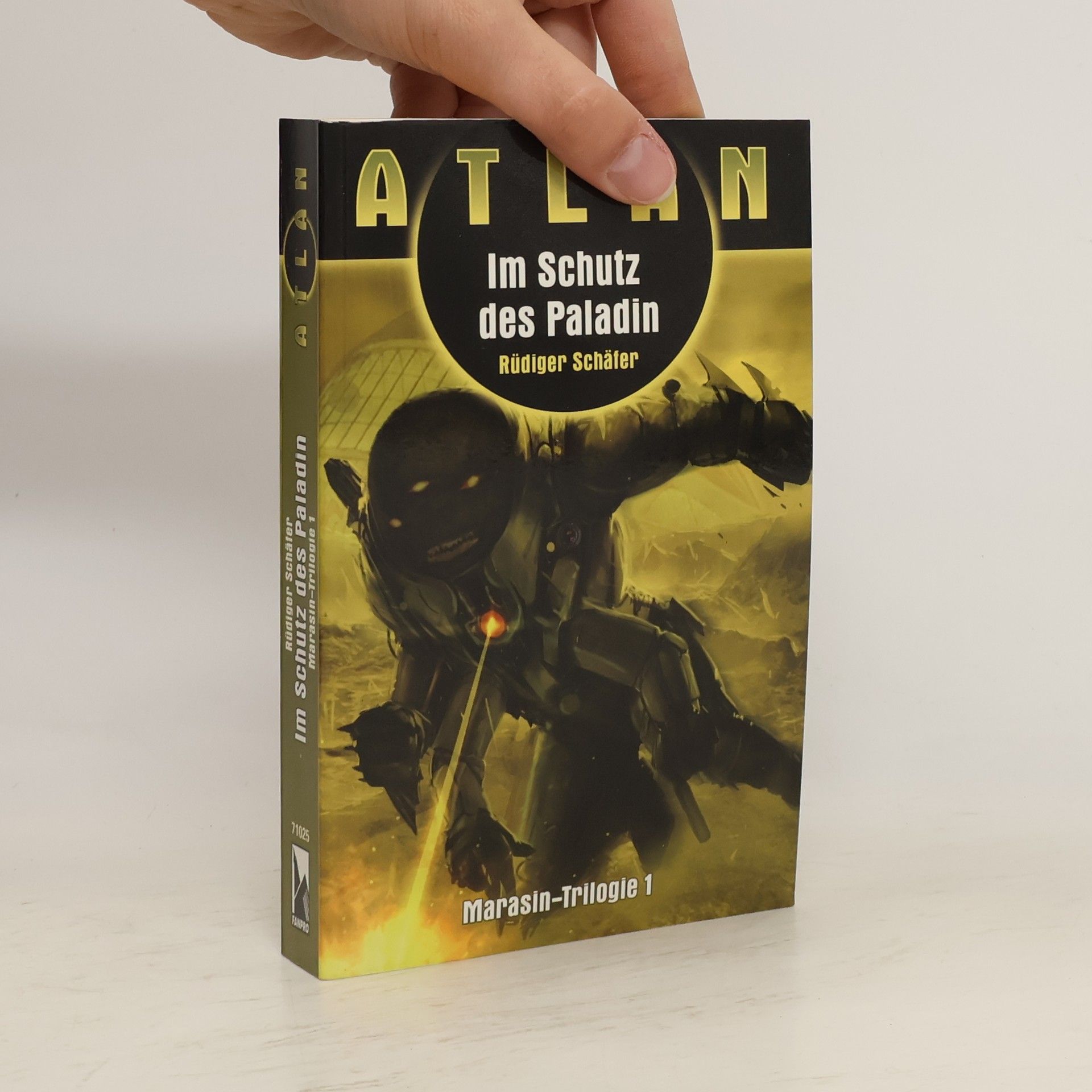 Rüdiger Schäfer Im Schutz des Paladin. Atlan Marasin Trilogie Band 1