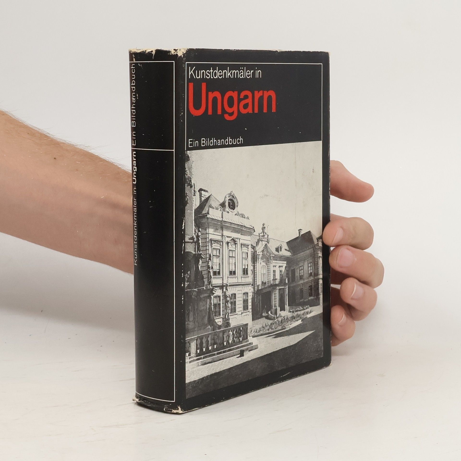 Autorenkollektiv Kunstdenkmäler in Ungarn