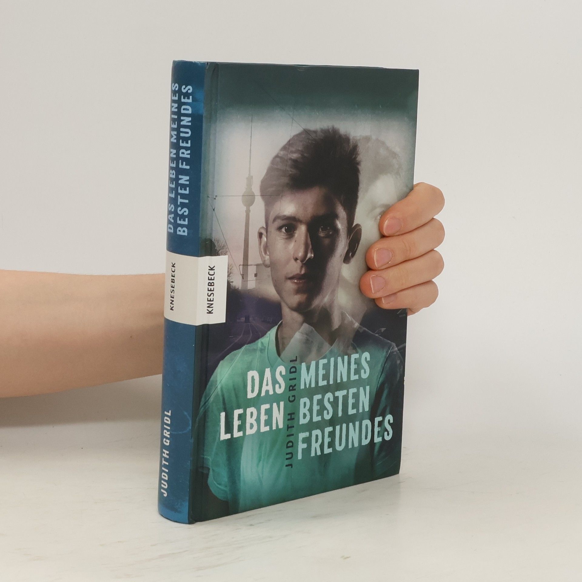 Judith Gridl Das Leben meines besten Freundes
