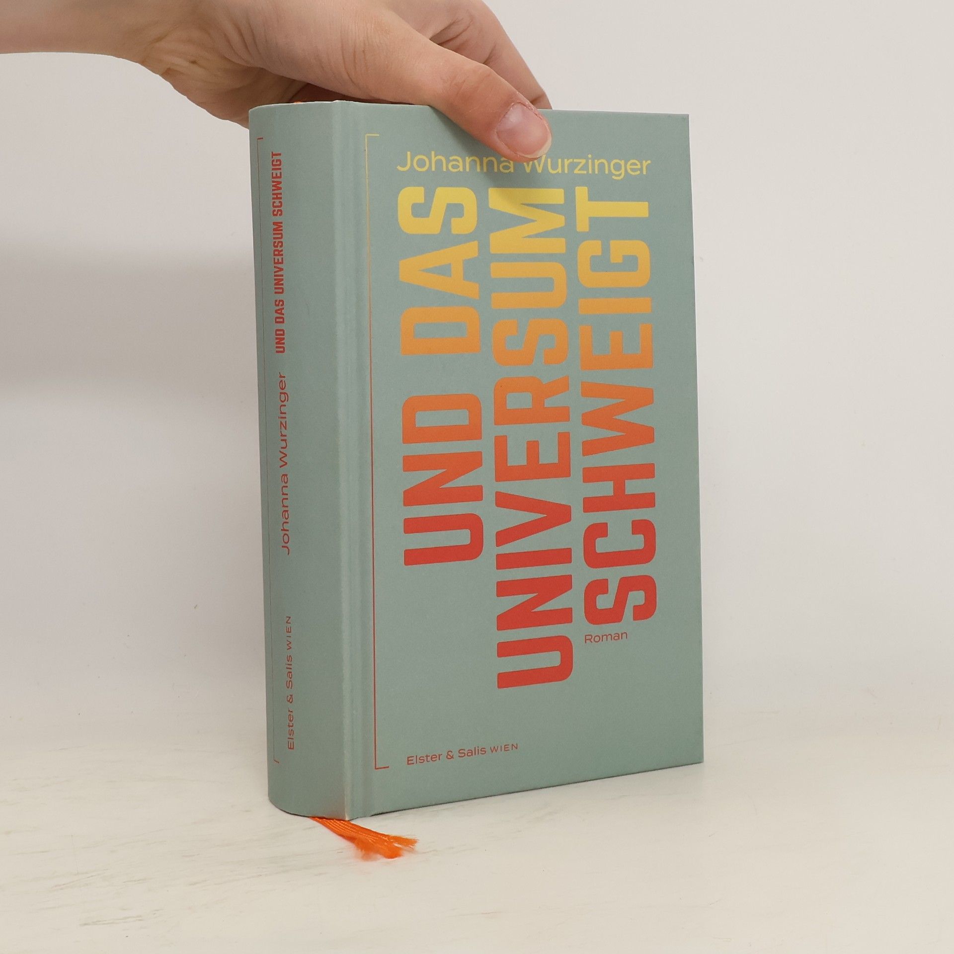 Johanna Wurzinger Und das Universum schweigt