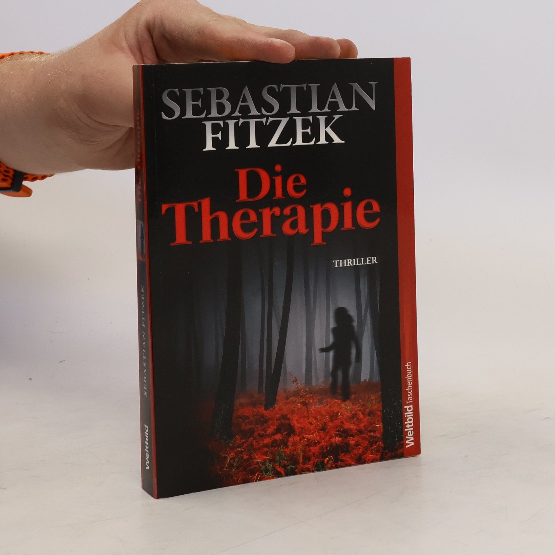 Sebastian Fitzek Die Therapie