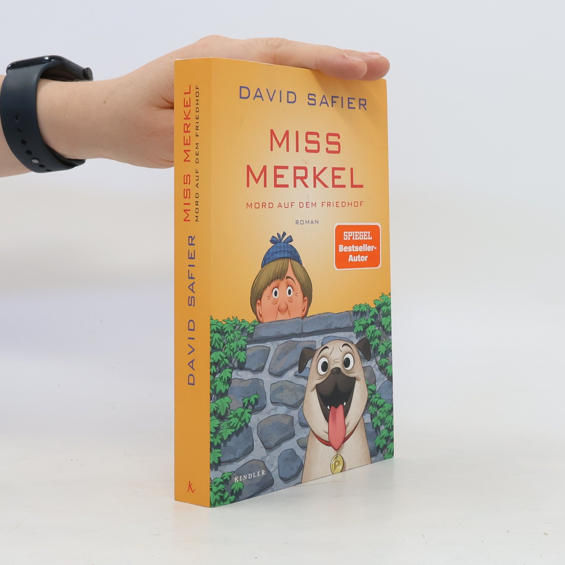 David Safier Miss Merkel. Mord auf dem Friedhof