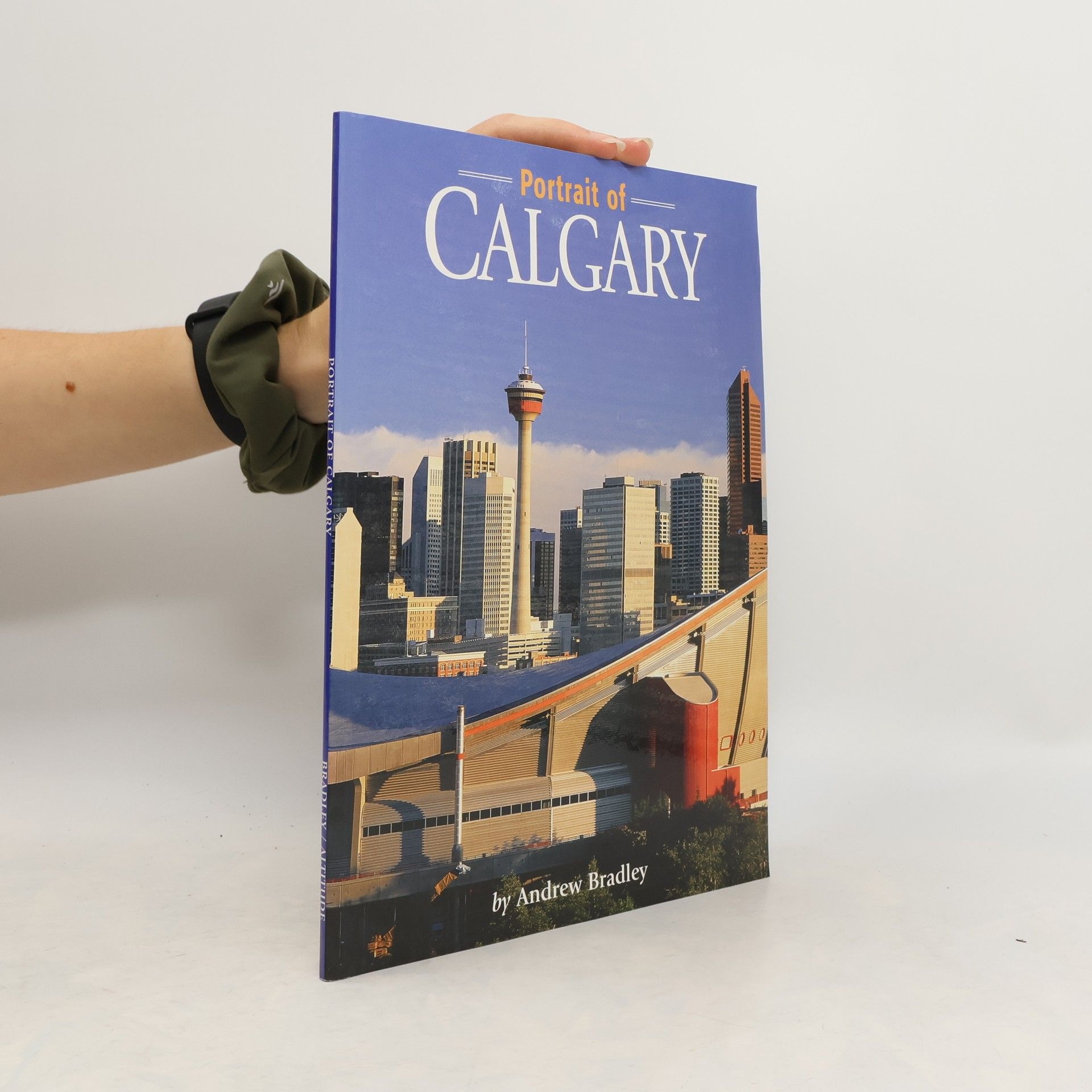Andrew Bradley Portrait of Calgary