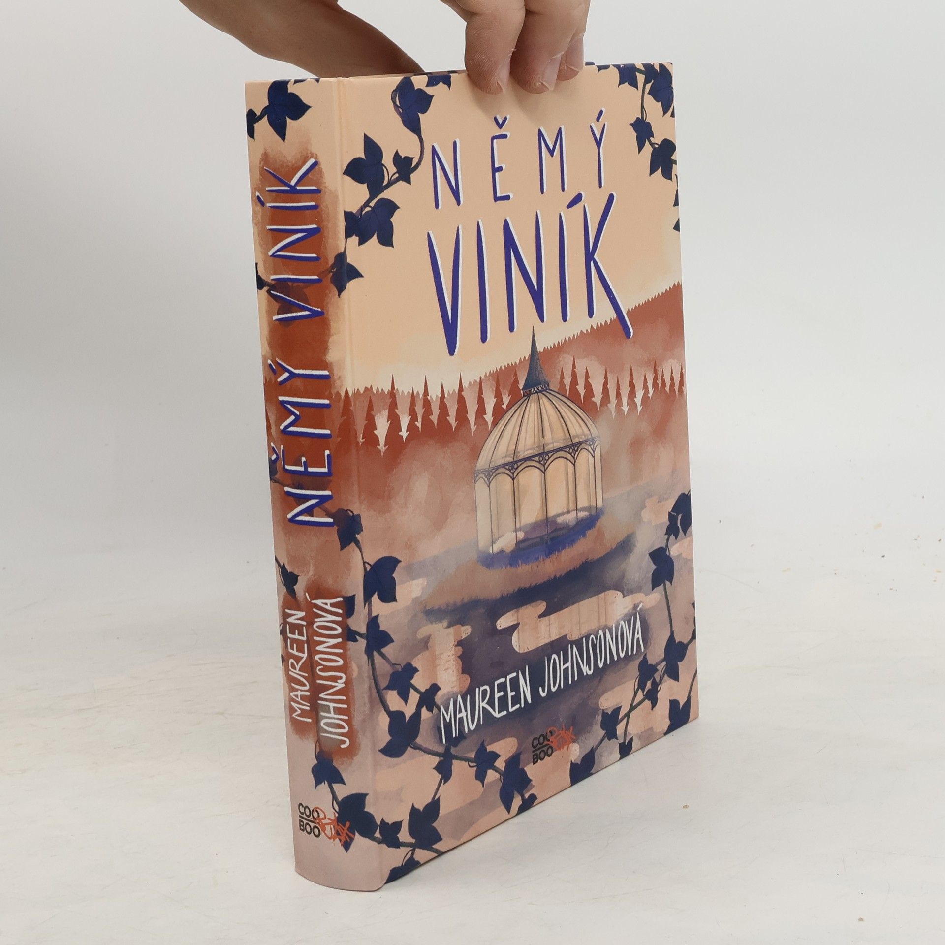 Maureen Johnson Němý viník