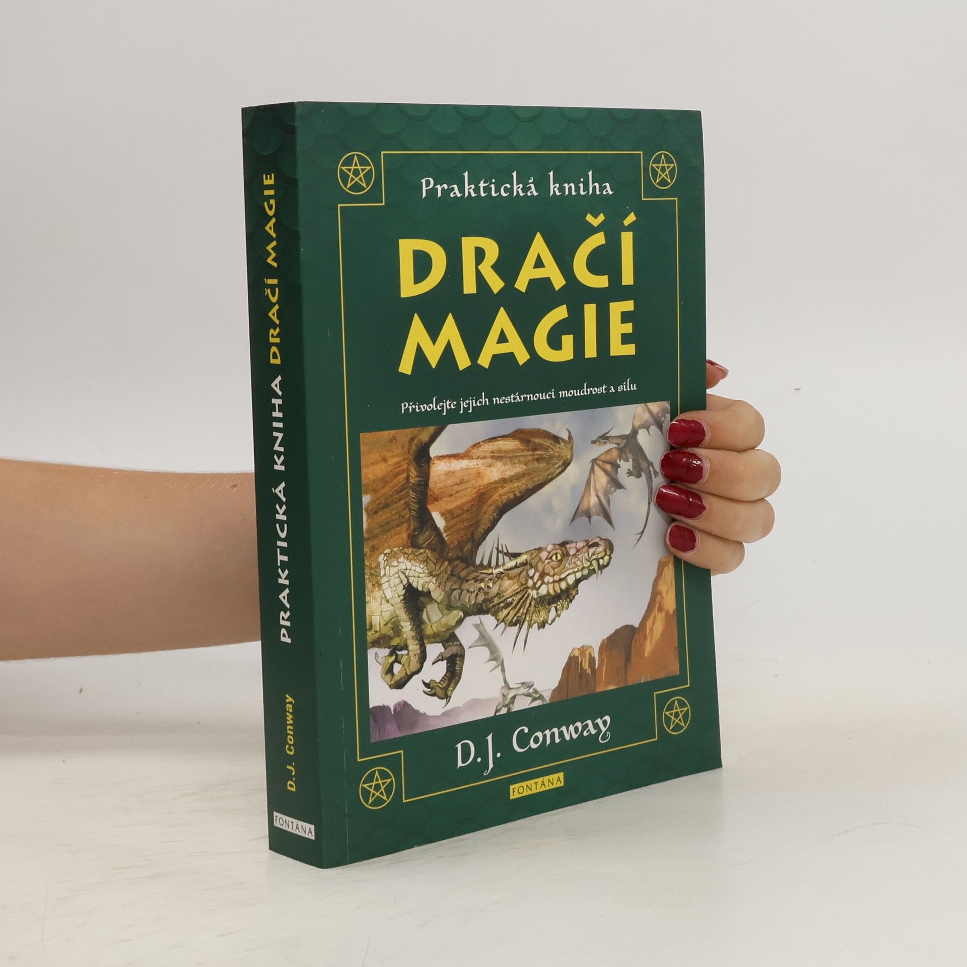 Deanna J. Conway Praktická kniha dračí magie