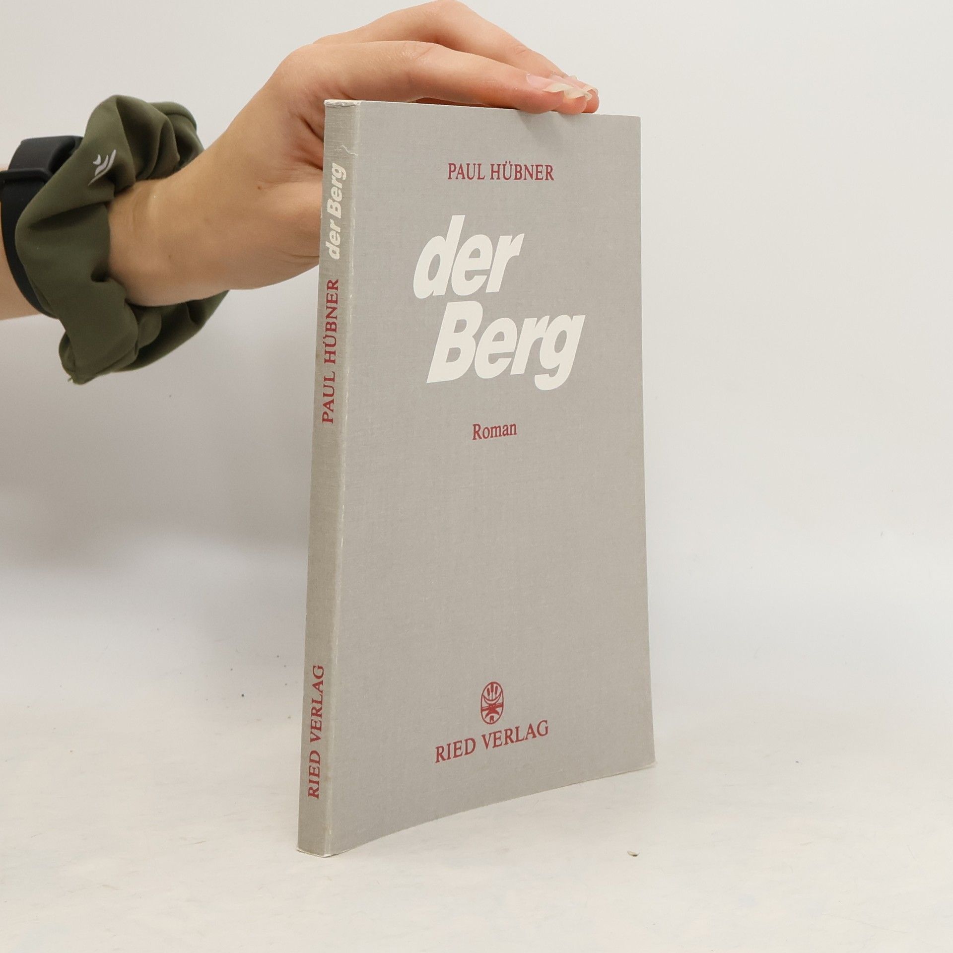 Paul Hübner Der Berg
