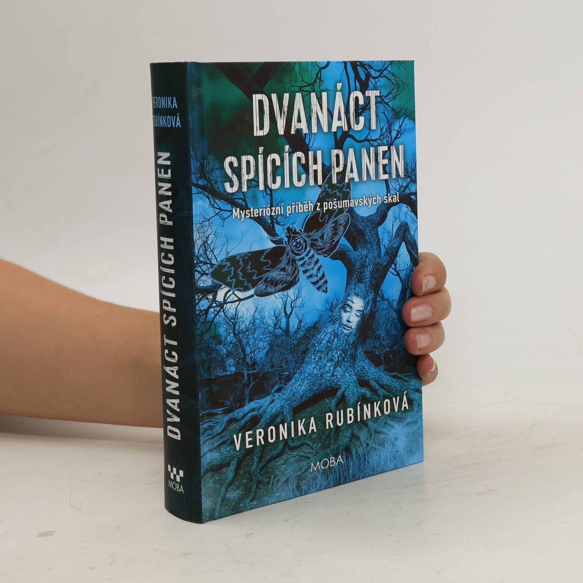 Veronika Rubínková Dvanáct spících panen