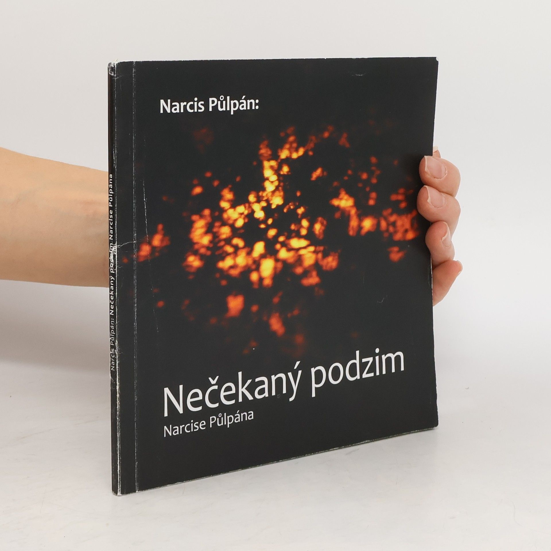 Petr Sedláček Nečekaný podzim Narcise Půlpána
