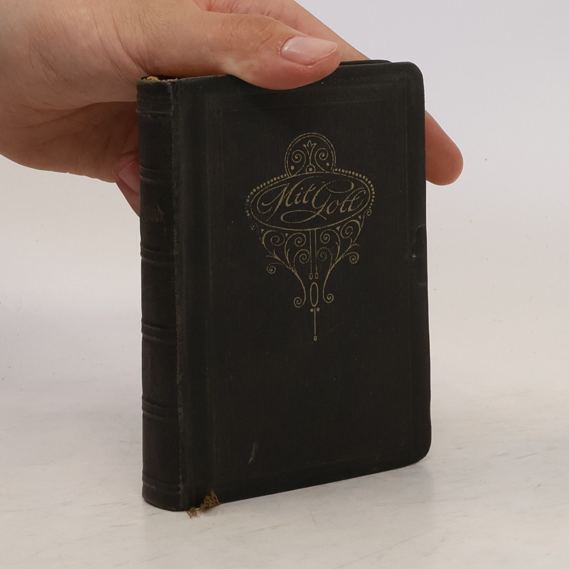 Collectif d'auteurs Evangelisches Gesangbuch