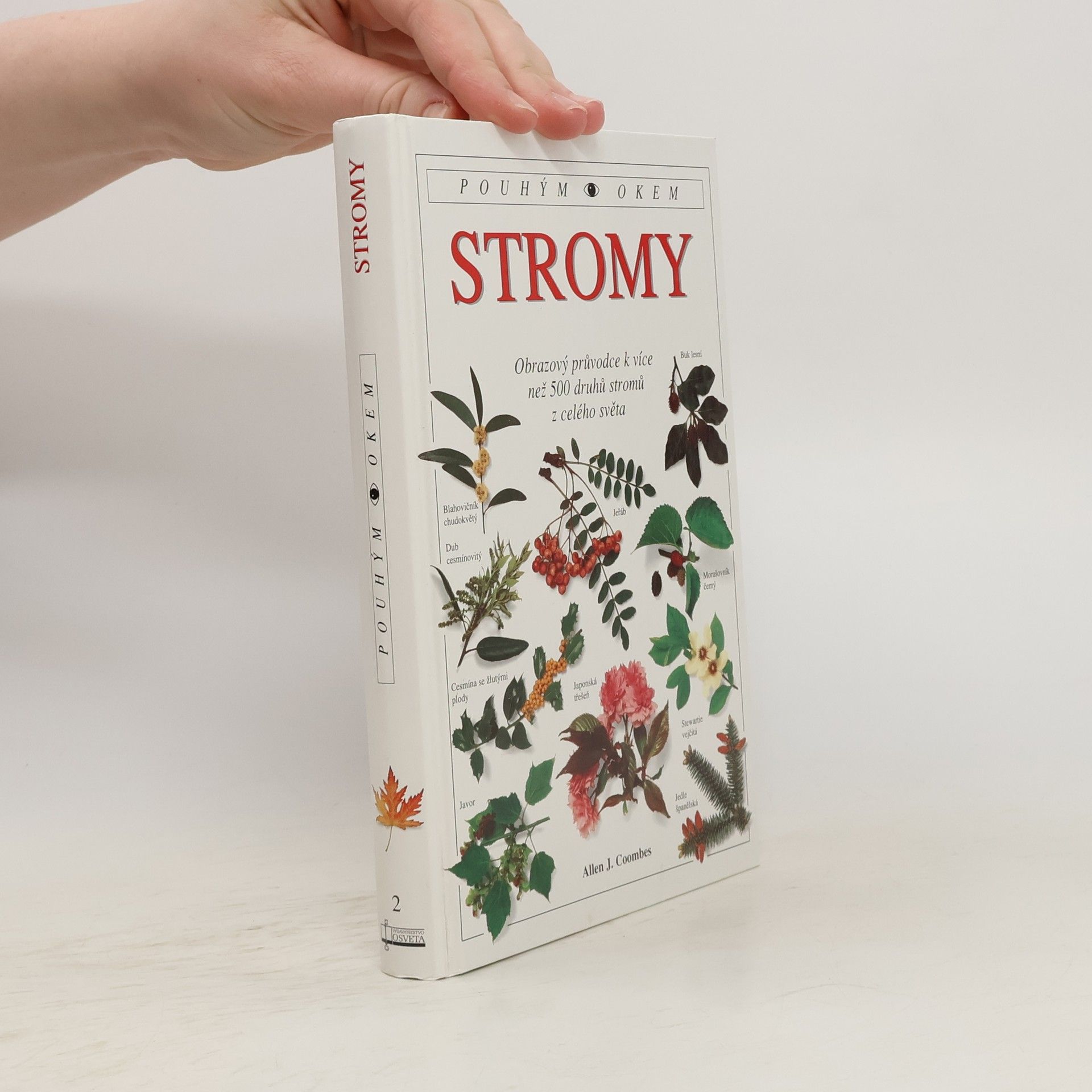 Allen J. Coombes Stromy