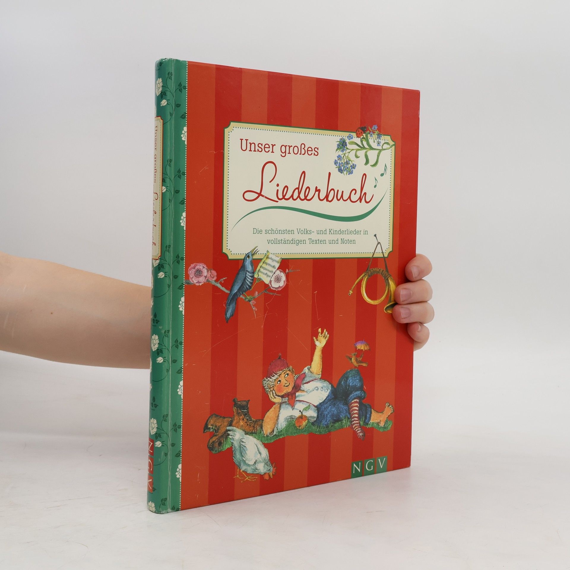 kolektiv Unser großes Liederbuch
