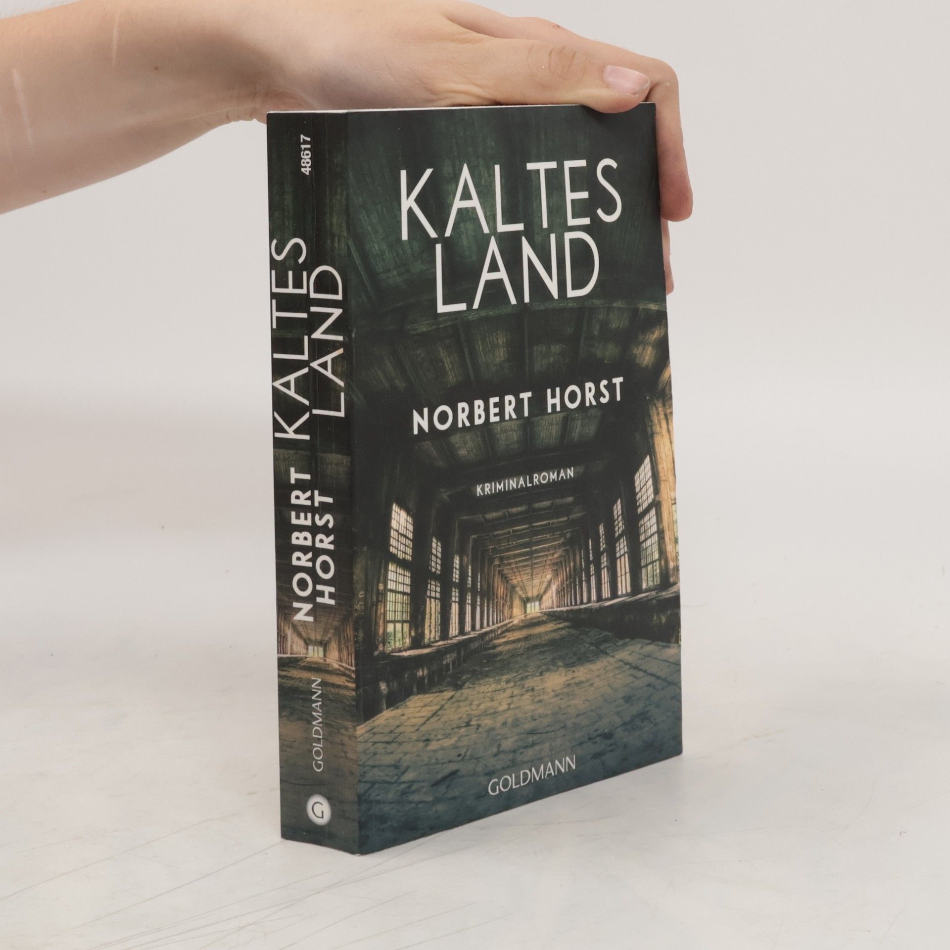 Norbert Horst Kaltes Land