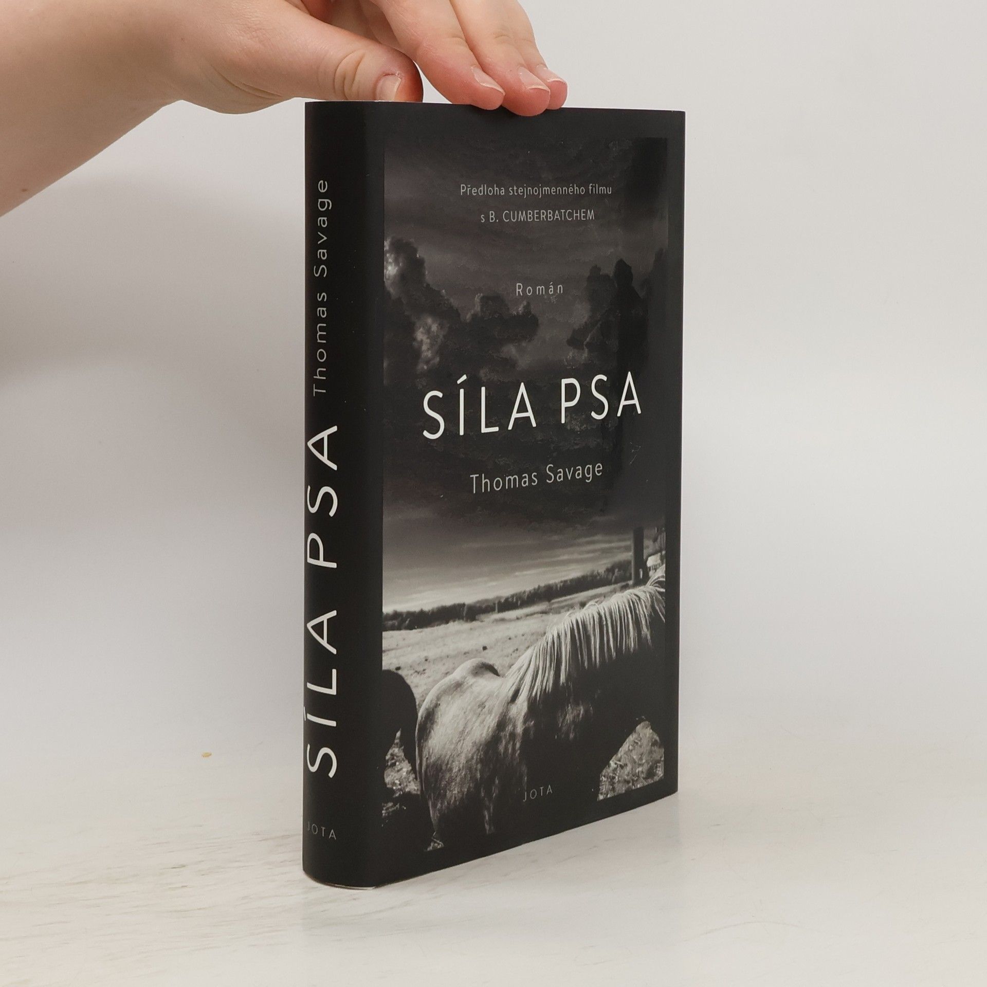 Thomas Savage Síla psa