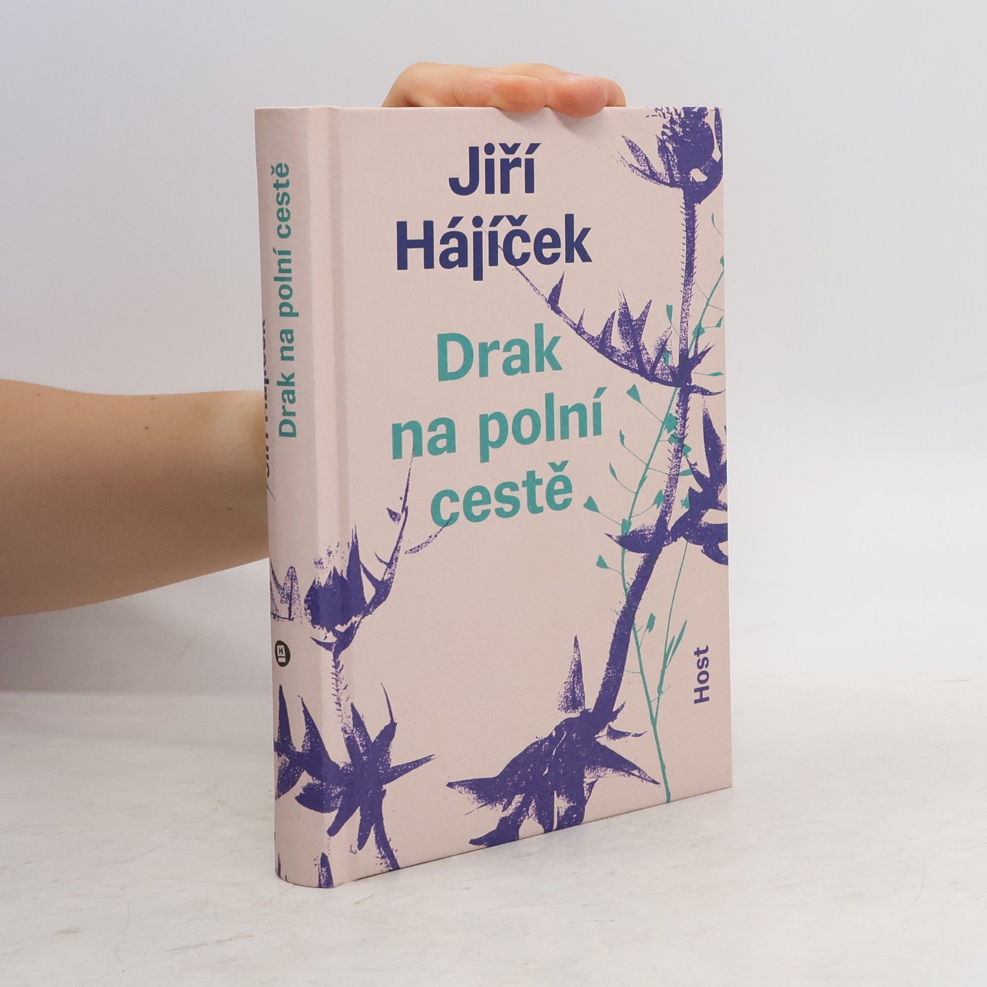 Drak na polní cestě