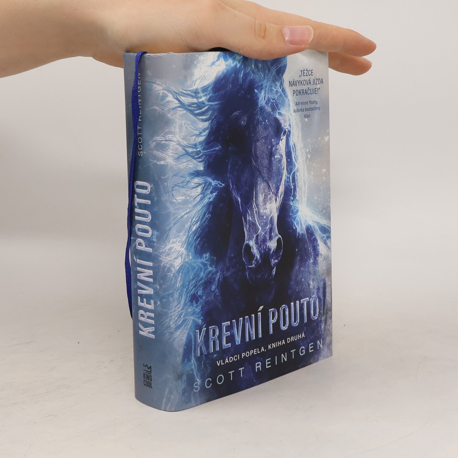 Scott Reintgen Vládci popela. Kniha druhá, Krevní pouto