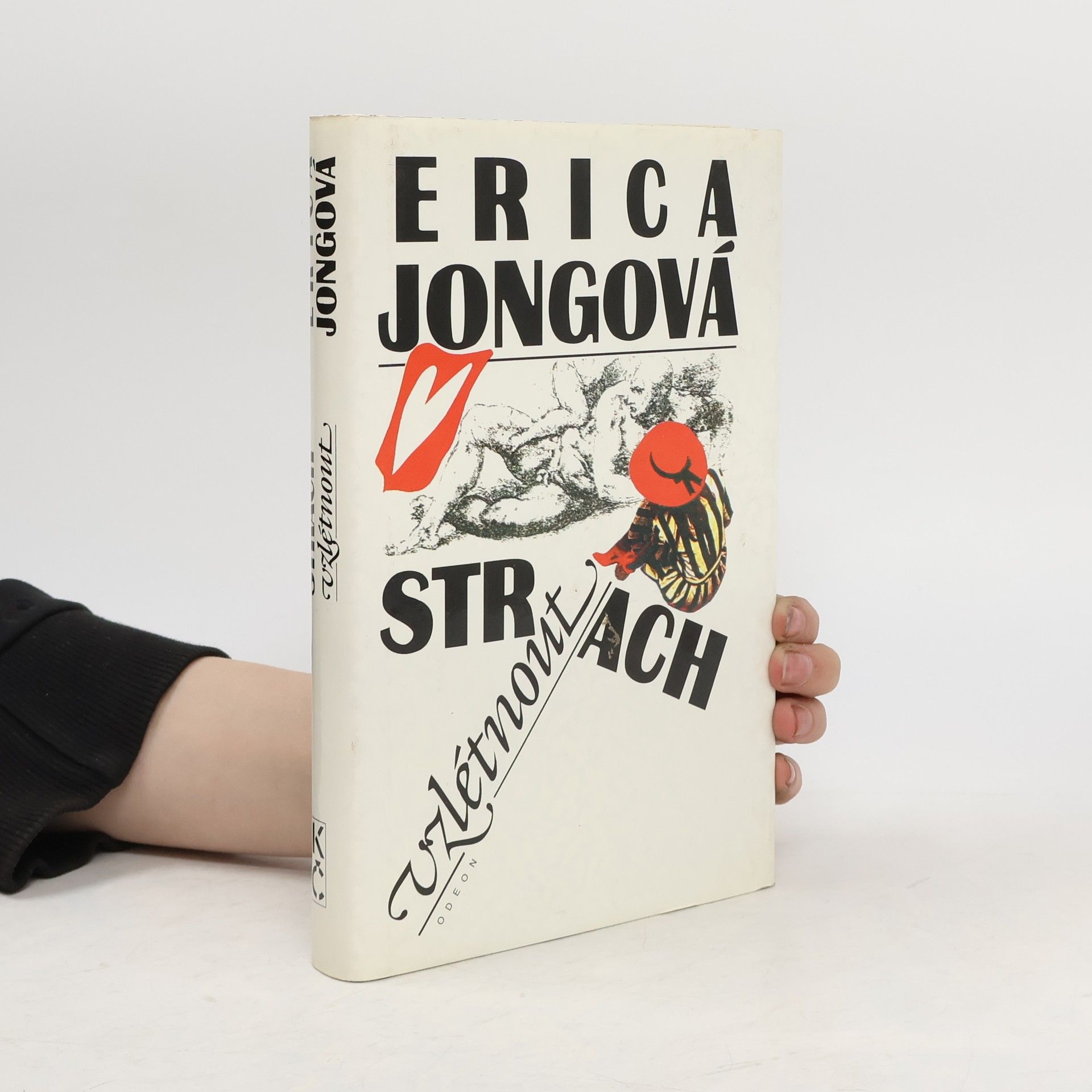 Erica Jong Strach vzlétnout