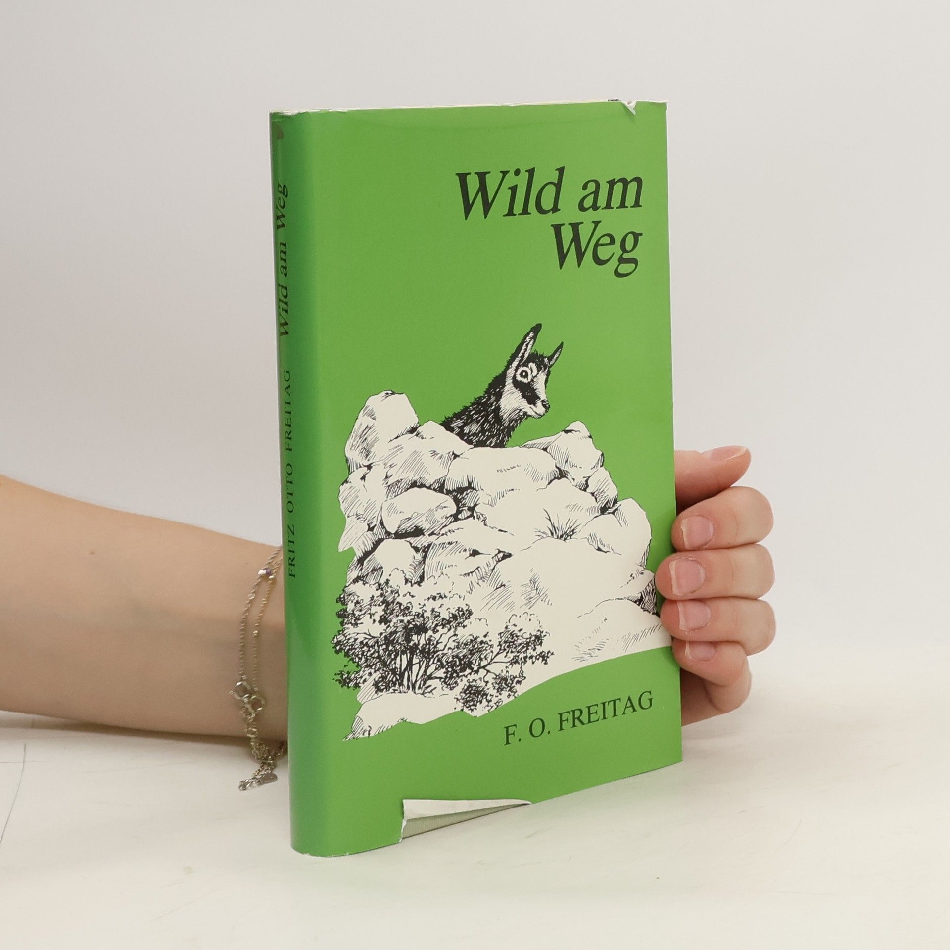 Fritz Otto Freitag Wild am Weg