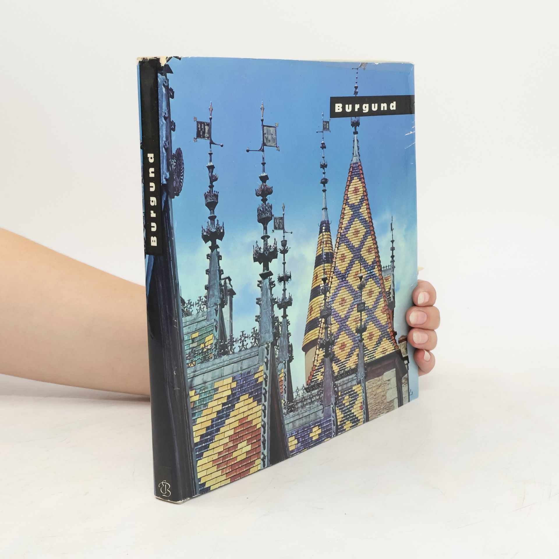 Autores varios Sehen in Farben. Burgund